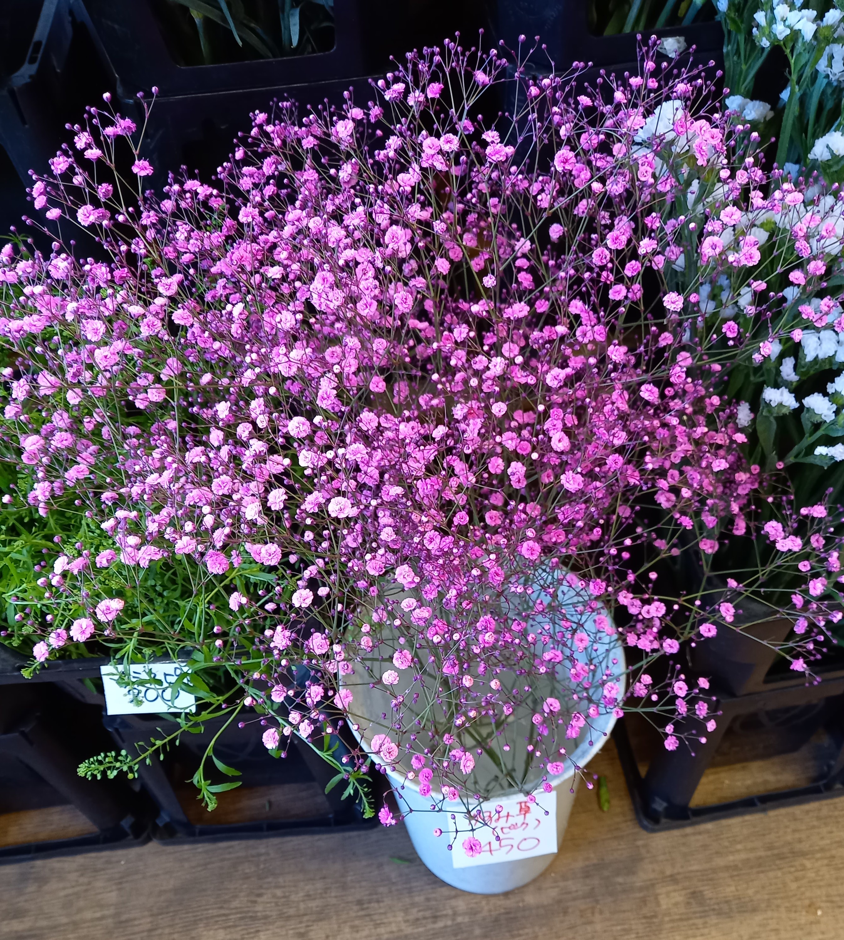 アップロードファイル 1001-1.jpg