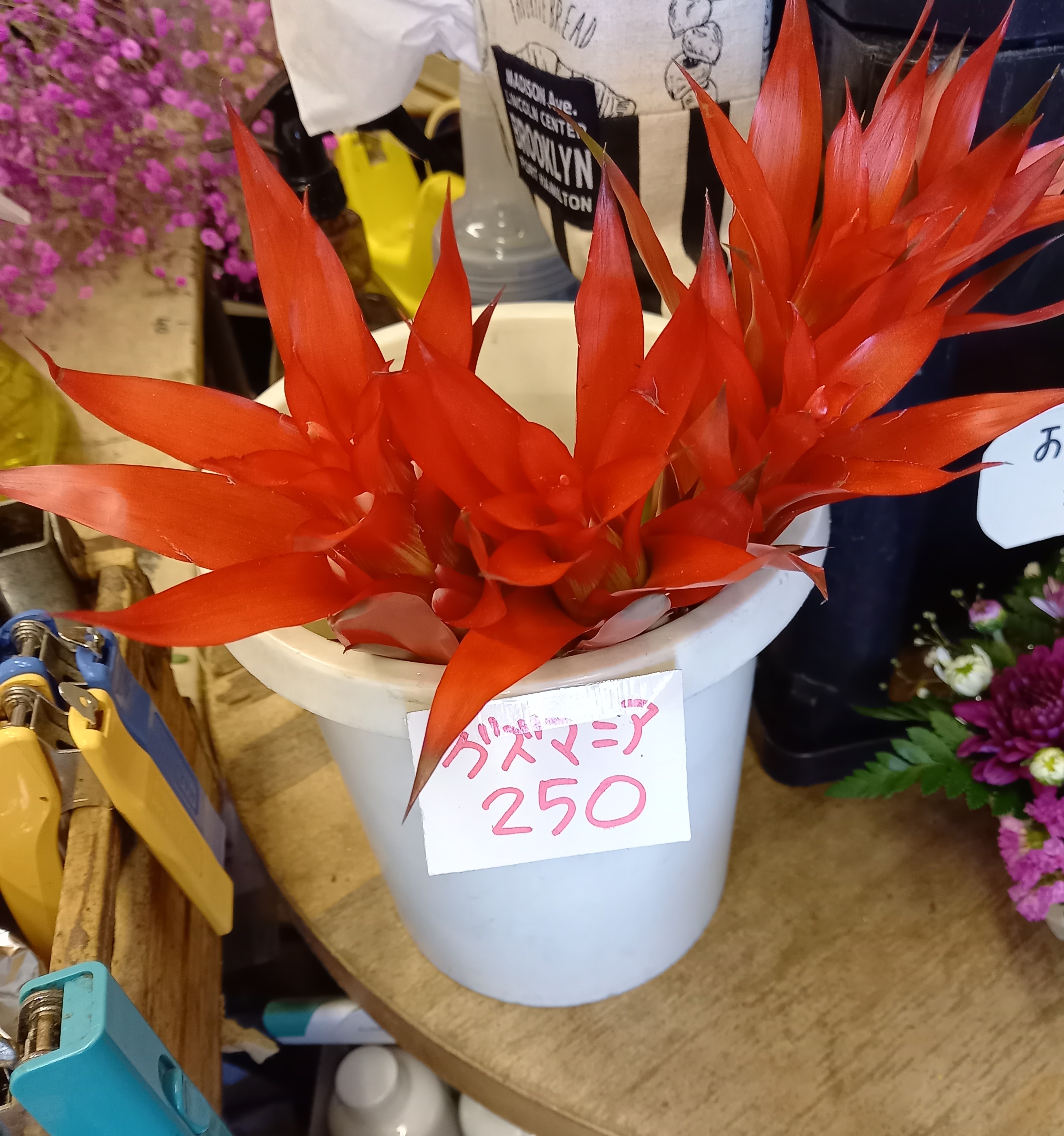 アップロードファイル 1001-2.jpg