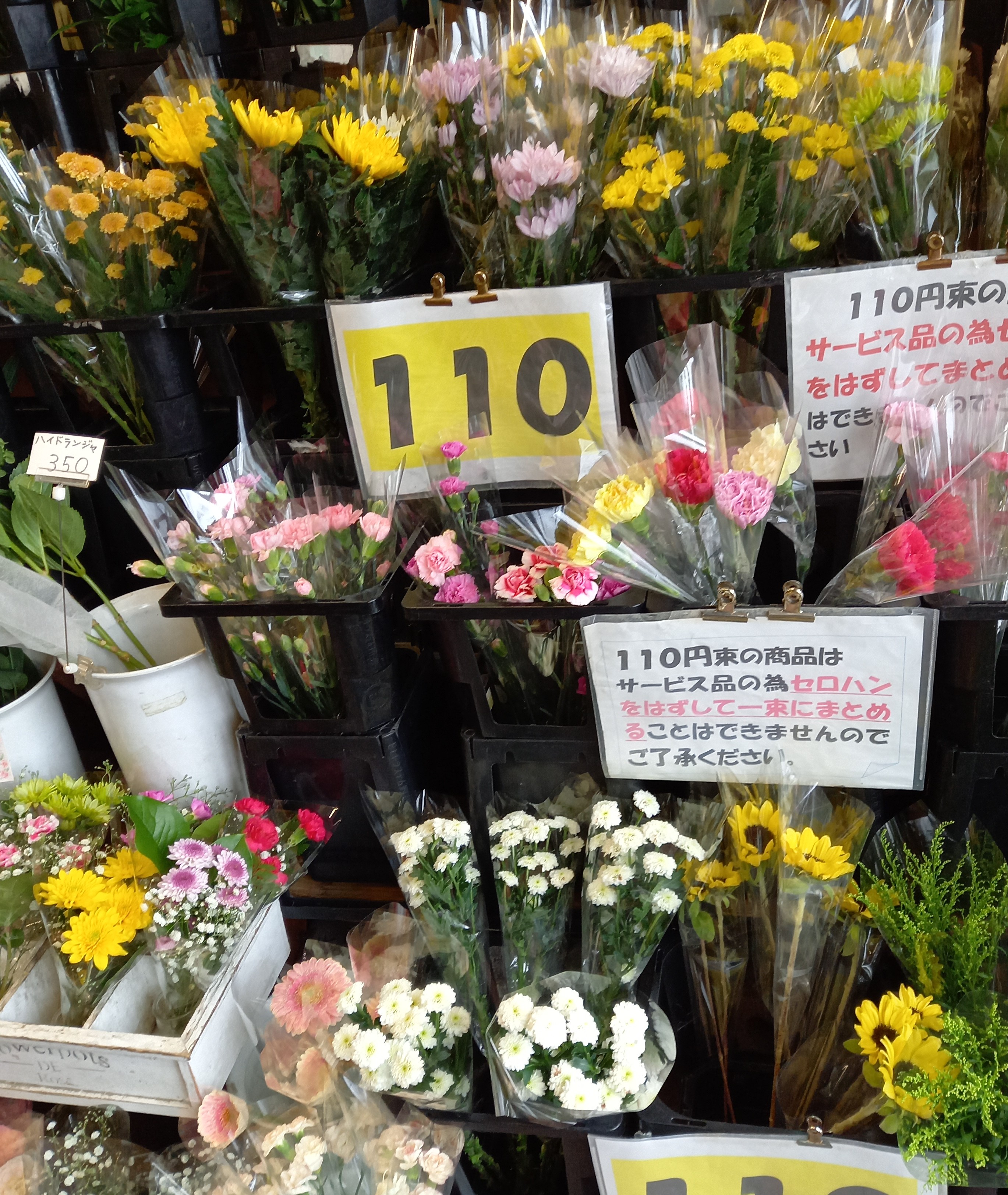 アップロードファイル 1002-1.jpg