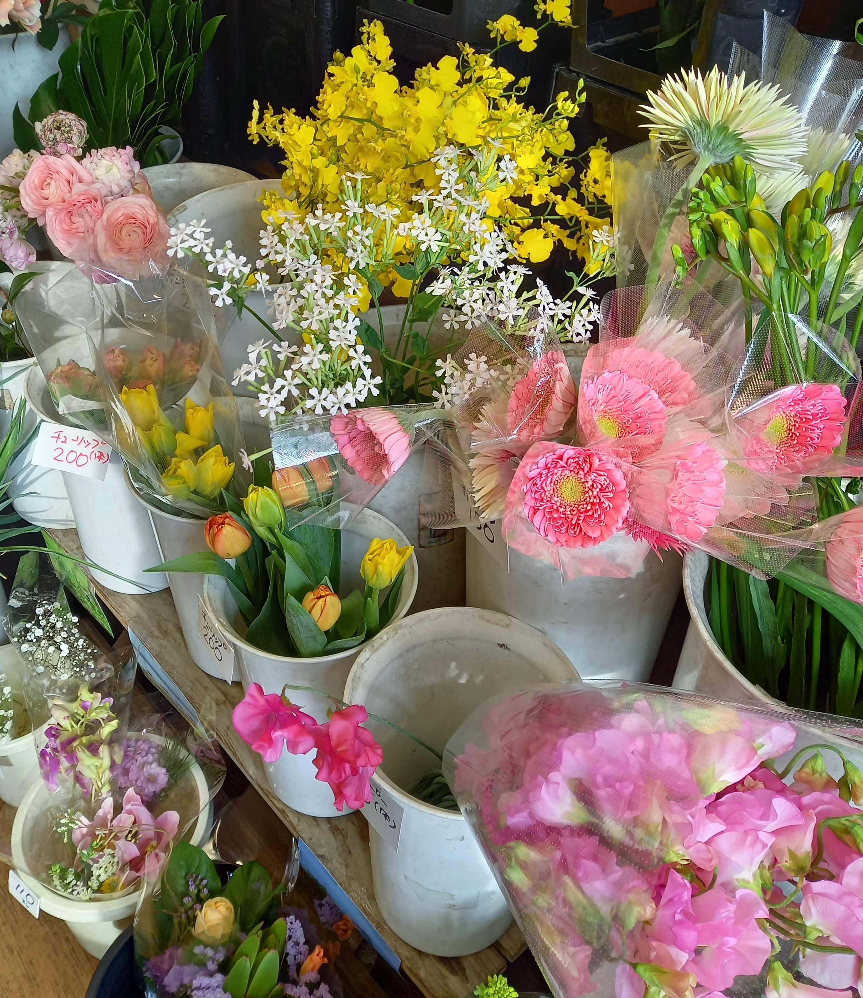 アップロードファイル 1003-1.jpg