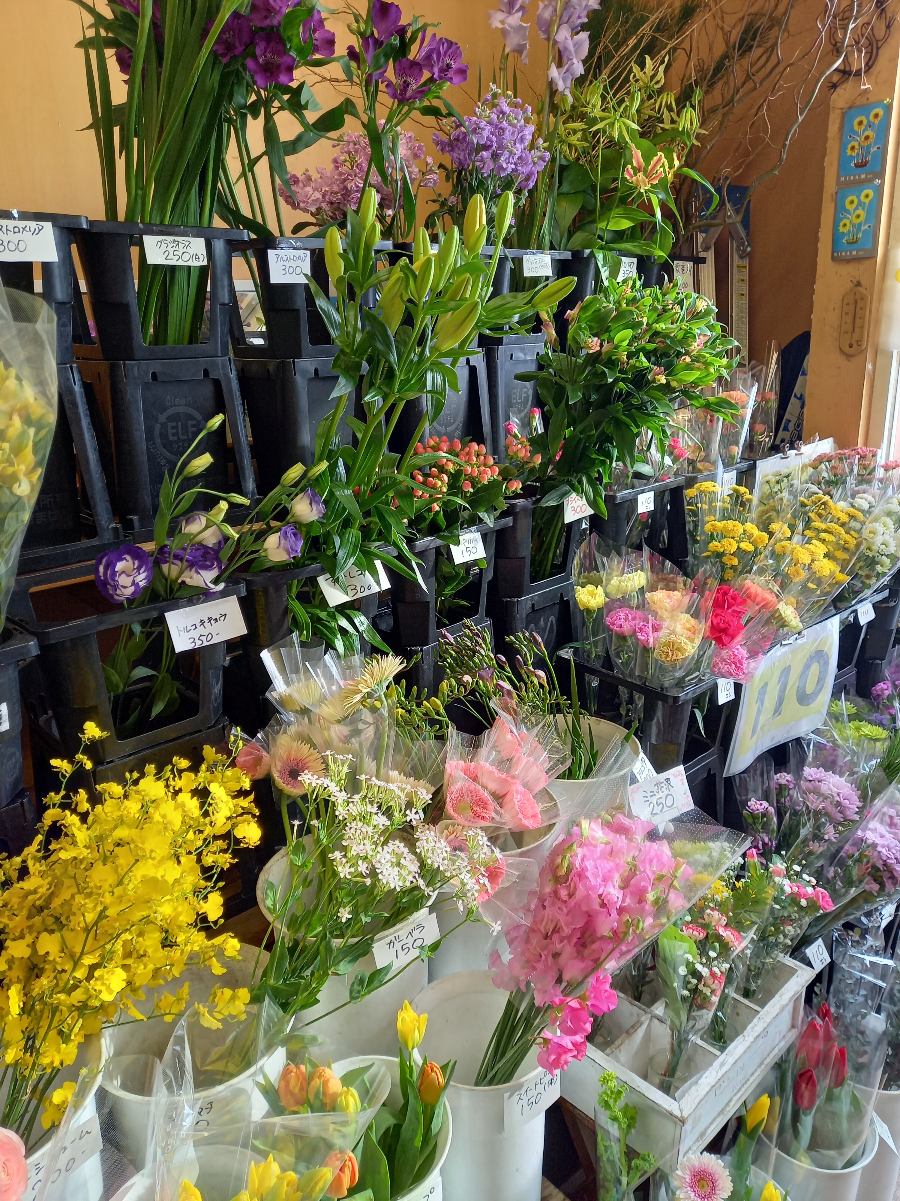 アップロードファイル 1003-2.jpg