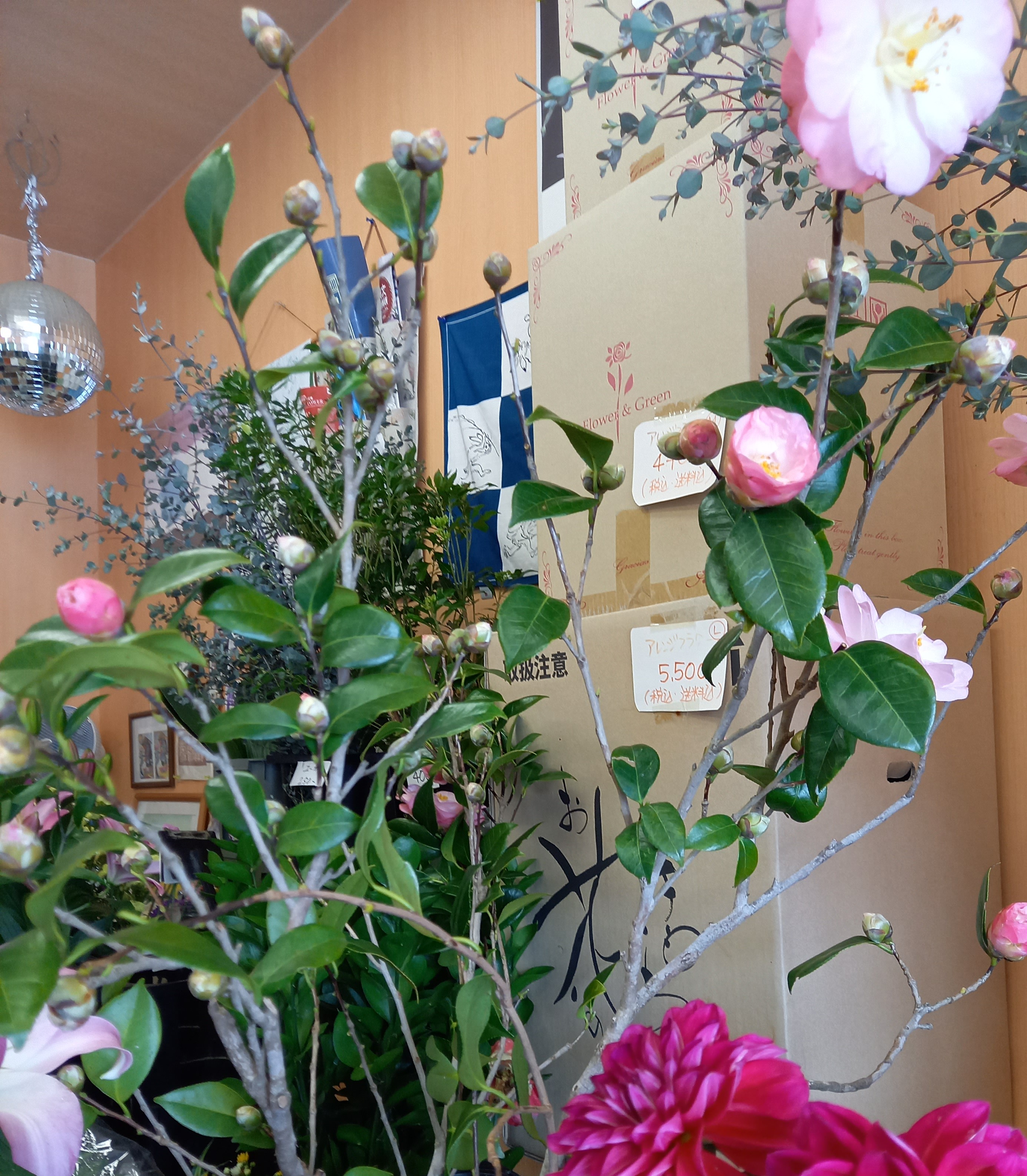 アップロードファイル 1004-1.jpg