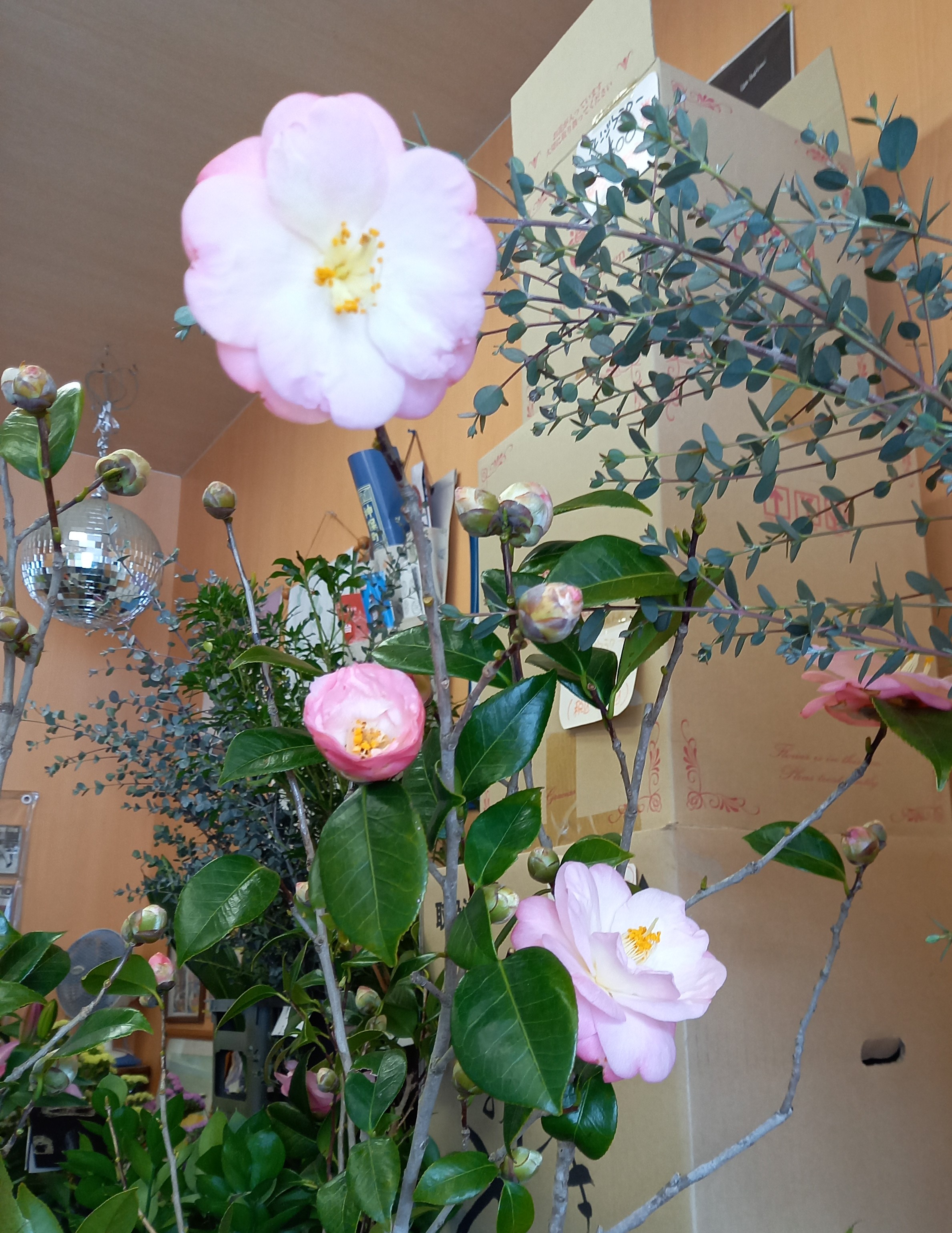 アップロードファイル 1004-2.jpg