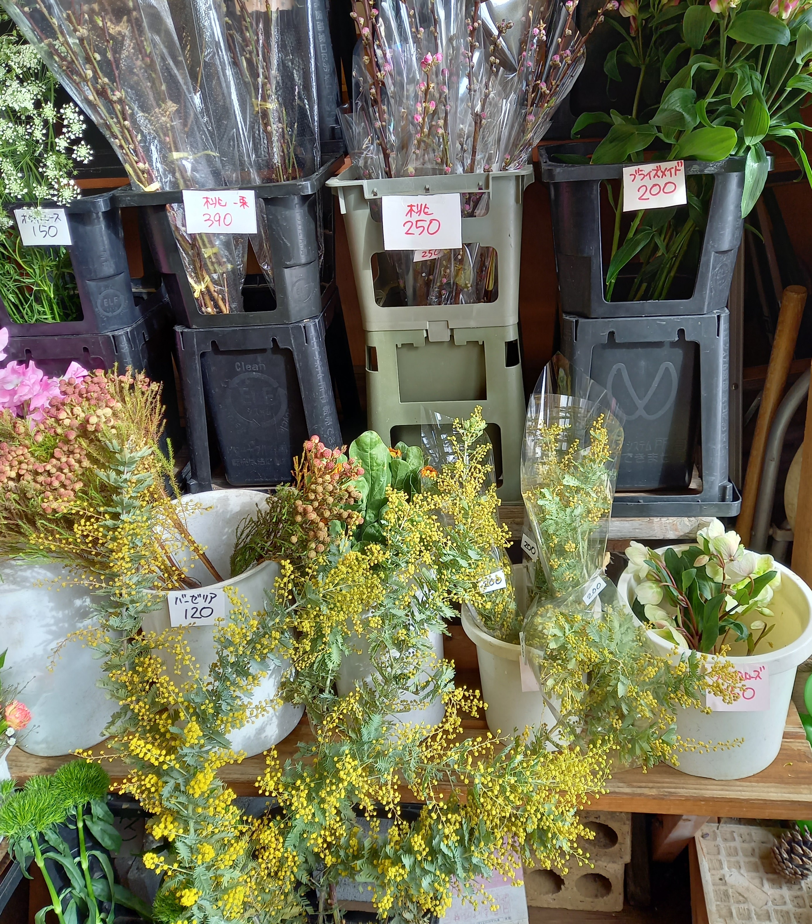 アップロードファイル 1005-1.jpg