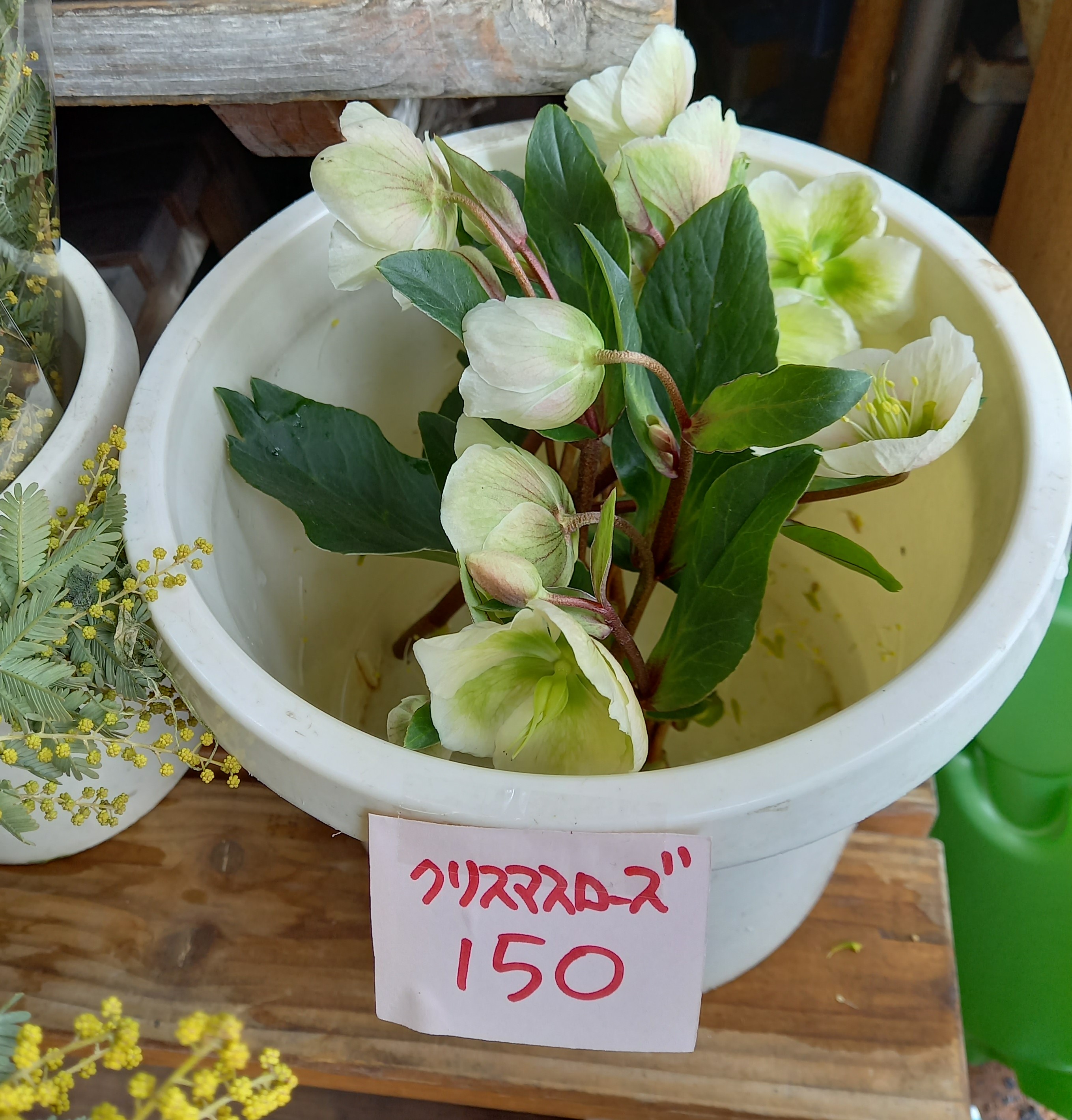 アップロードファイル 1005-2.jpg