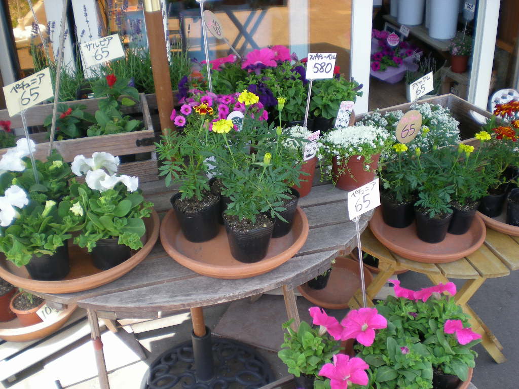 アップロードファイル 154-1.jpg