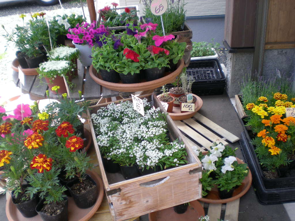 アップロードファイル 154-2.jpg