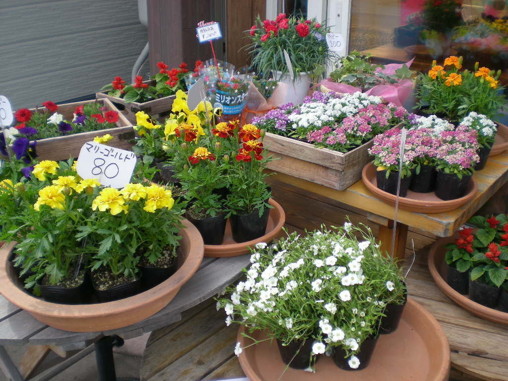 アップロードファイル 229-1.jpg