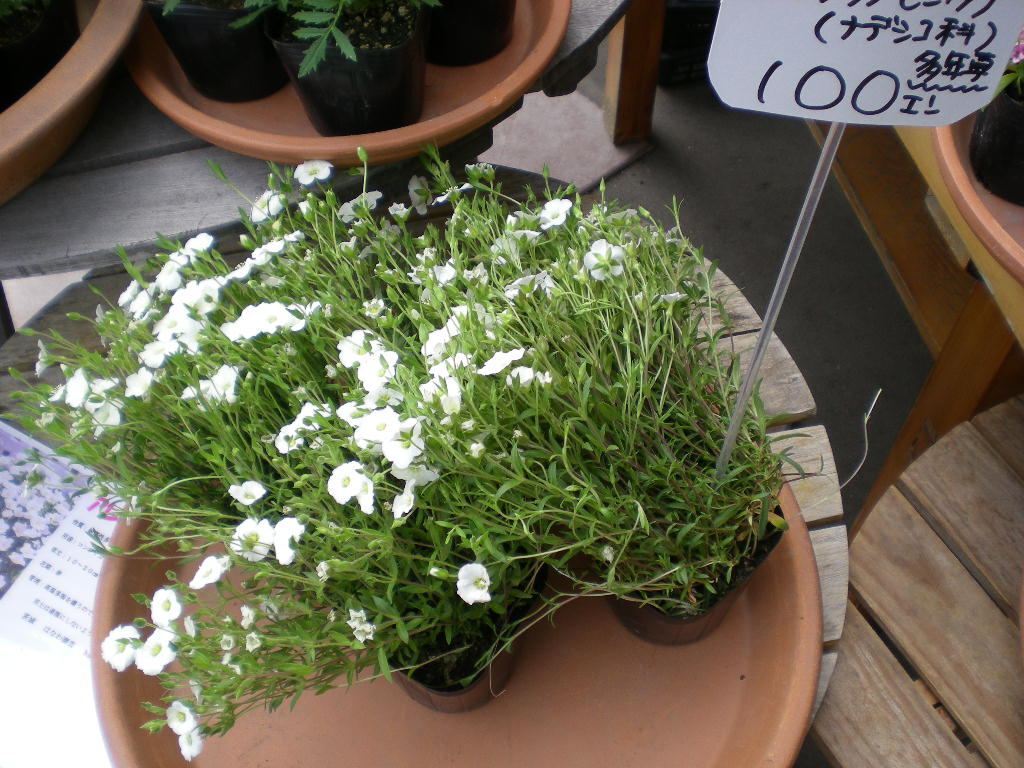 アップロードファイル 229-2.jpg