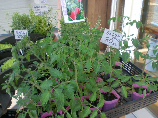 アップロードファイル 307-1.jpg