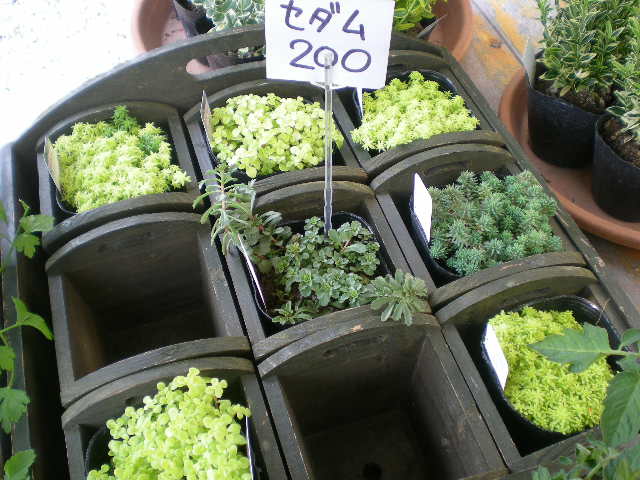 アップロードファイル 307-2.jpg