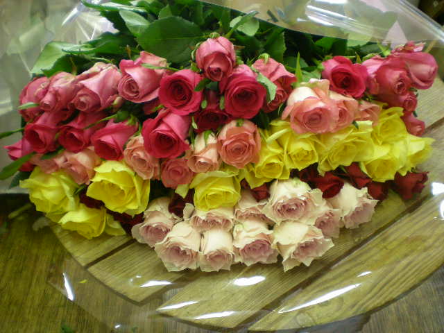 アップロードファイル 308-2.jpg