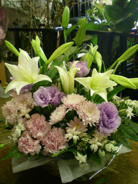 アップロードファイル 362-1.jpg