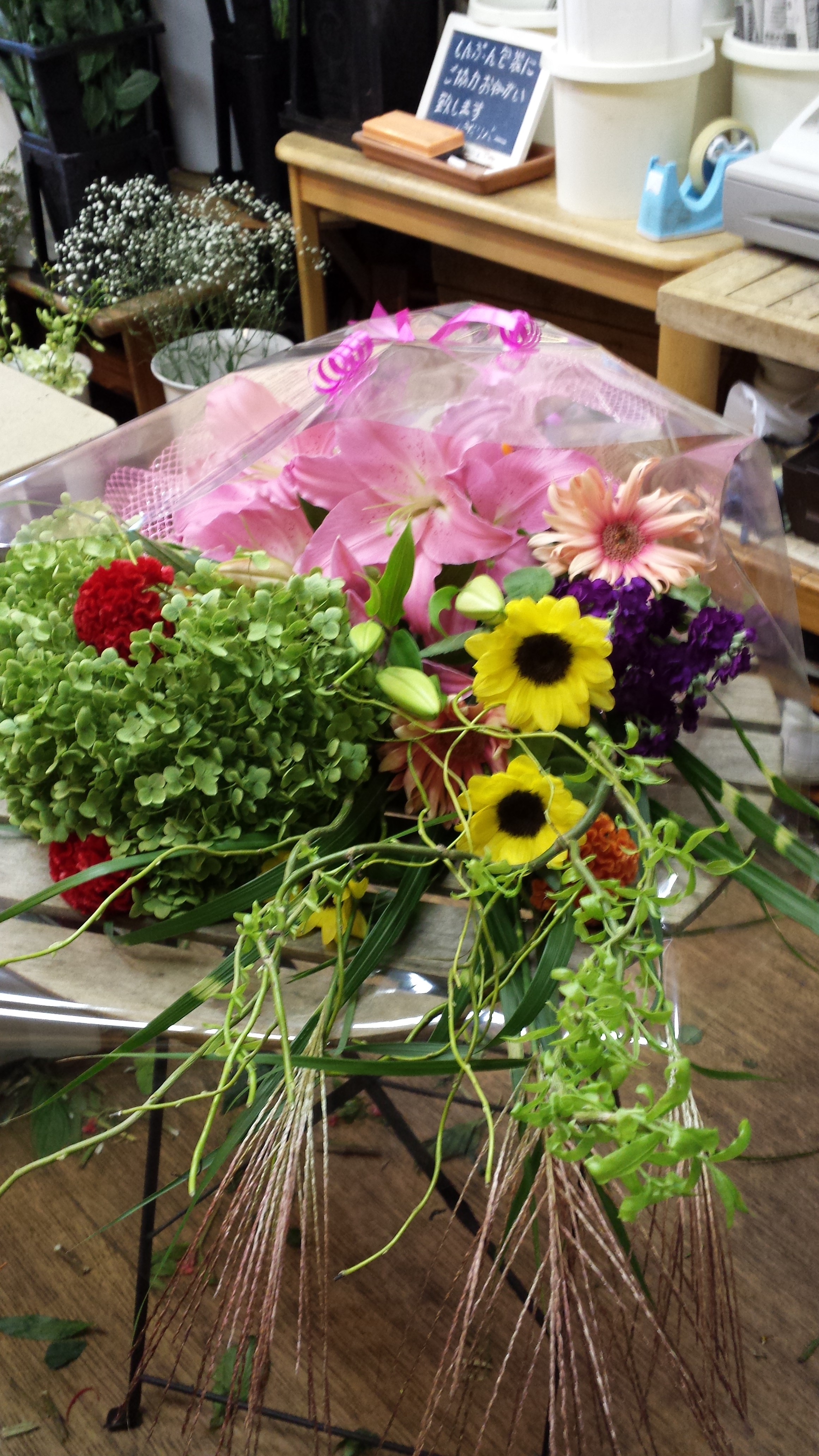 アップロードファイル 456-1.jpg