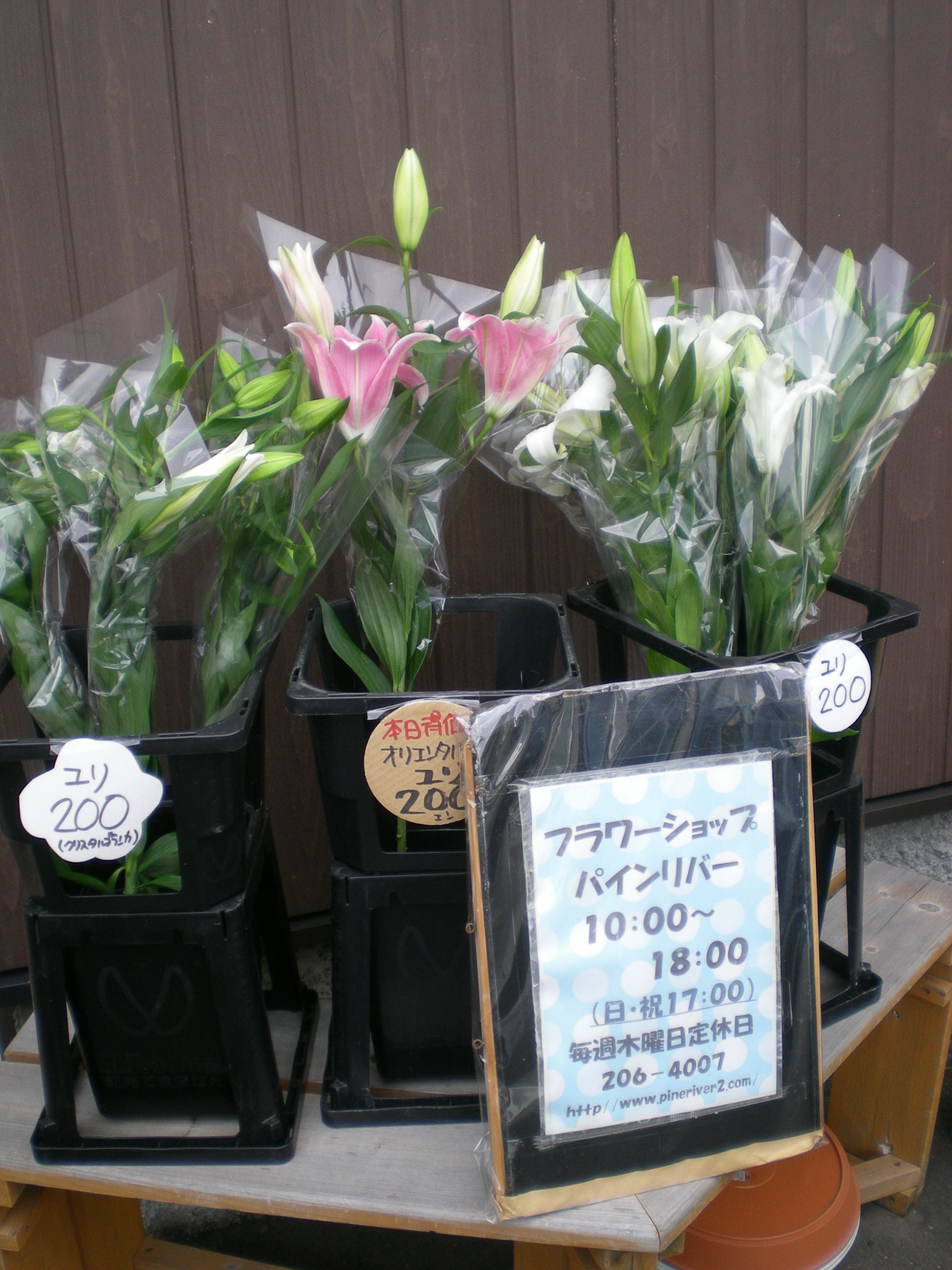 アップロードファイル 460-2.jpg