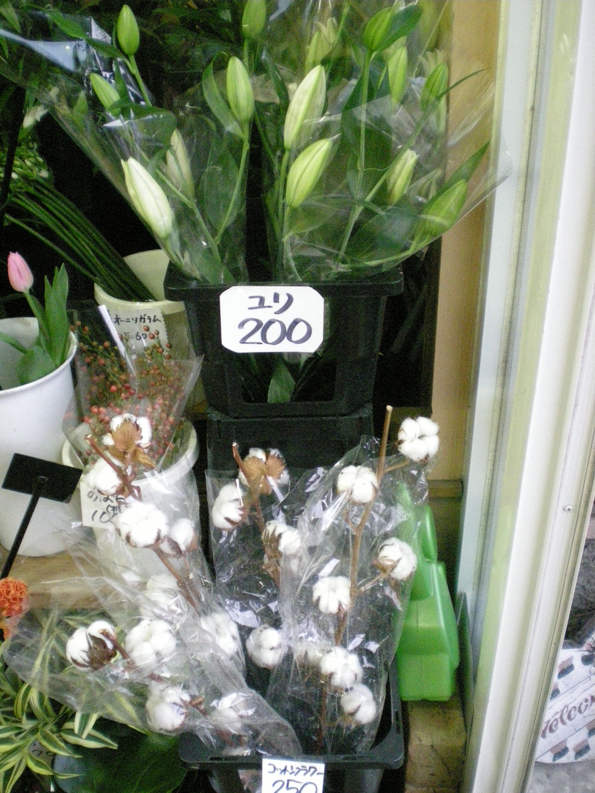 アップロードファイル 464-1.jpg