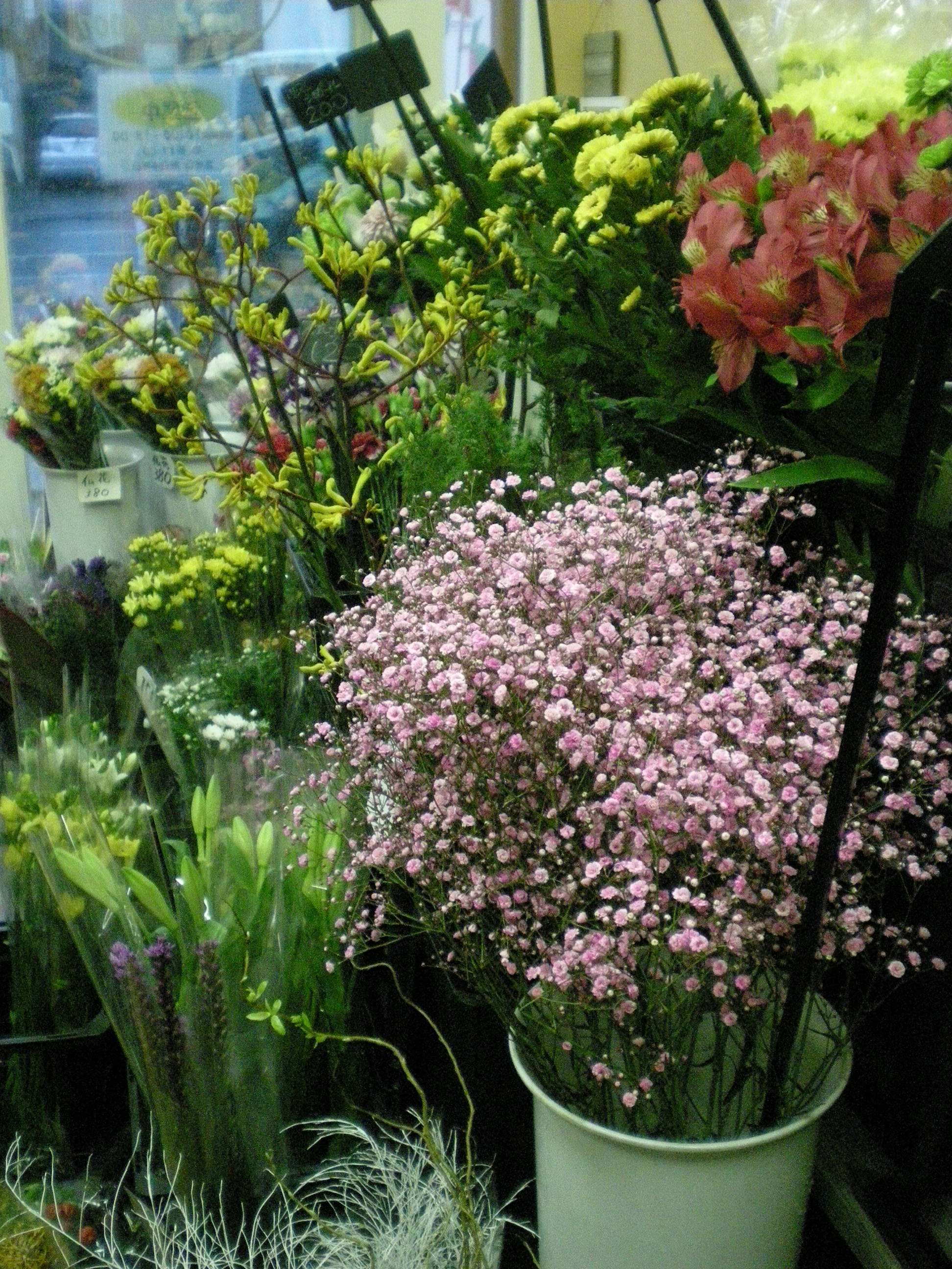 アップロードファイル 464-2.jpg