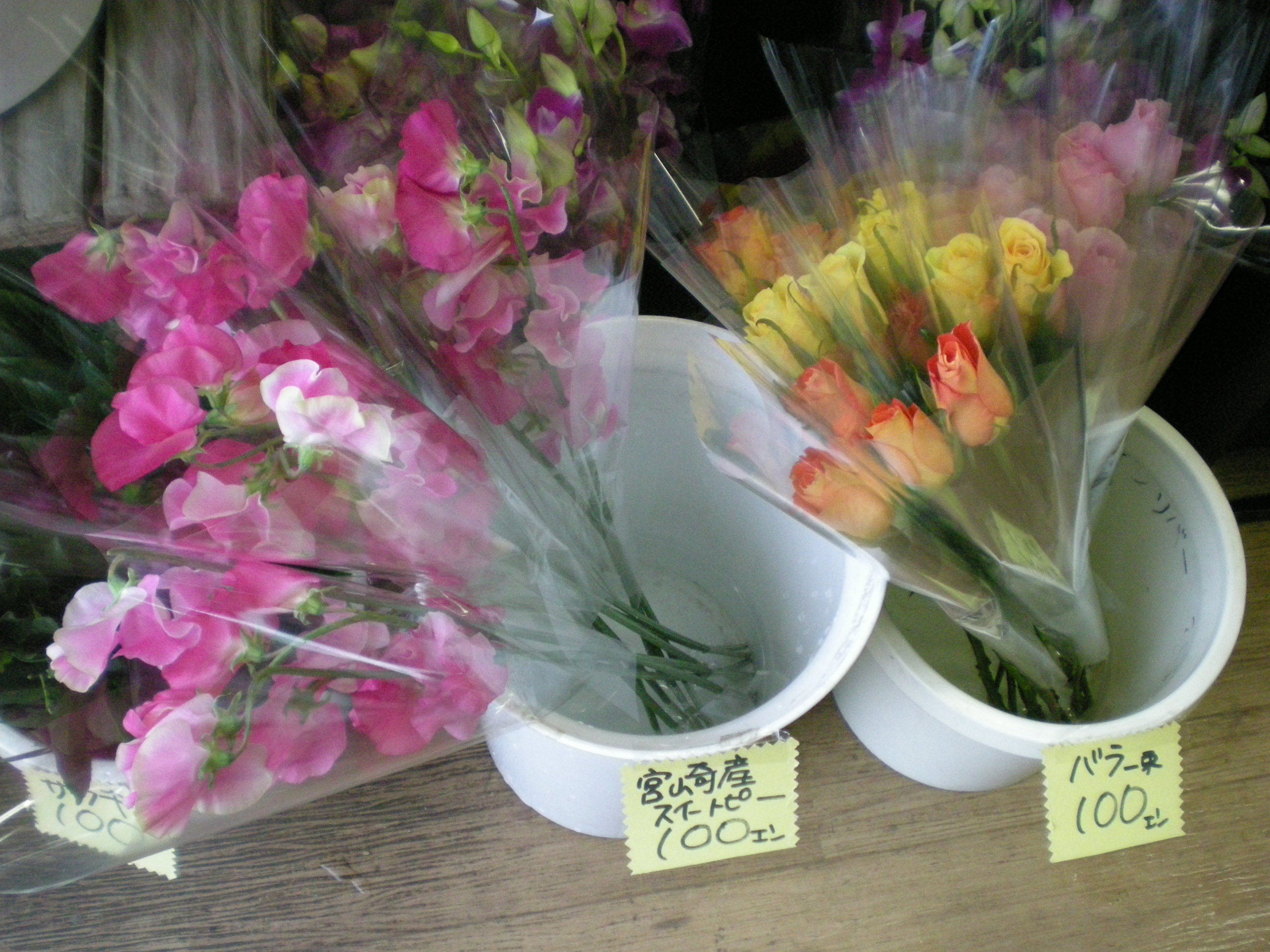 アップロードファイル 474-1.jpg