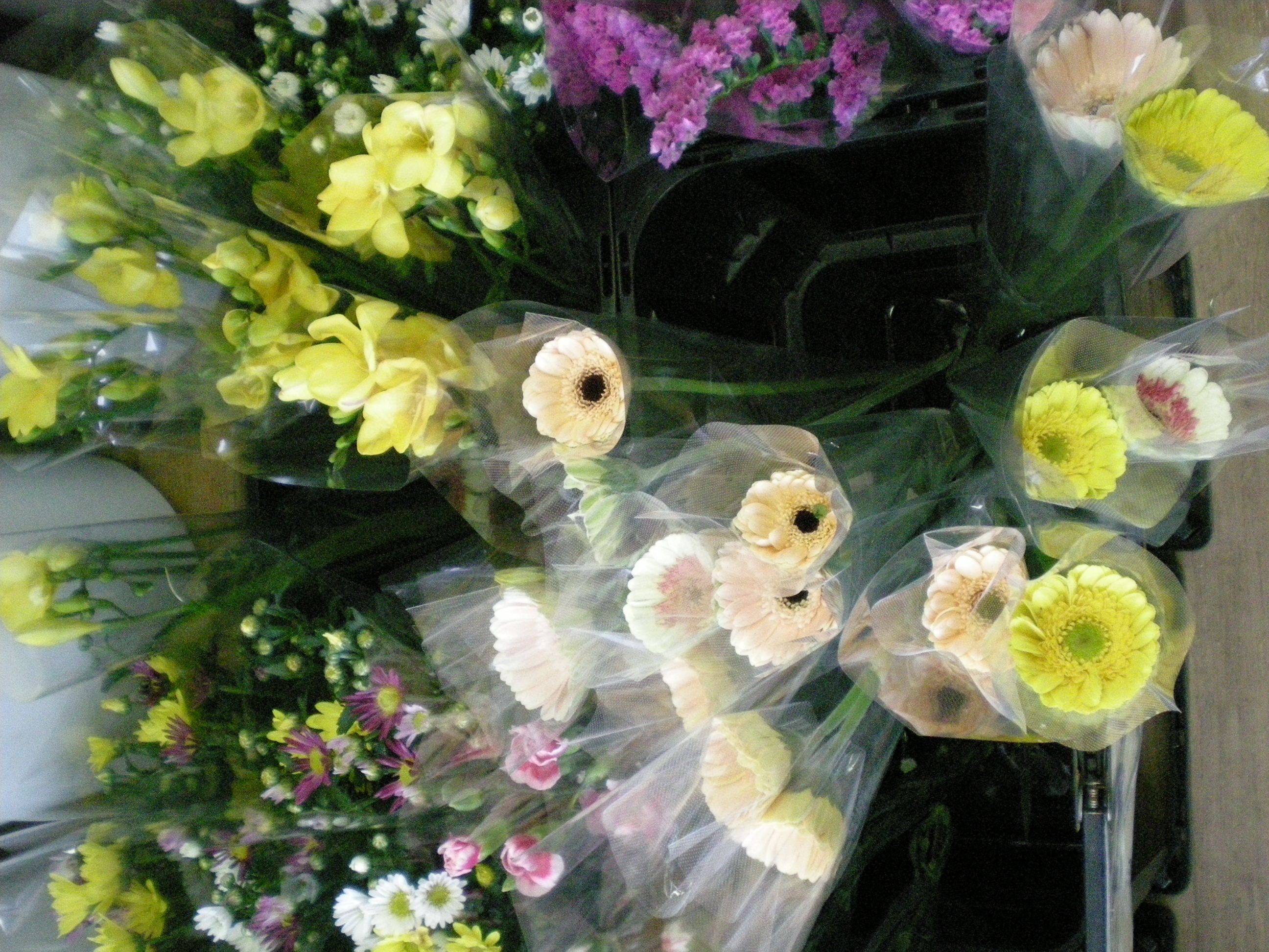 アップロードファイル 474-2.jpg