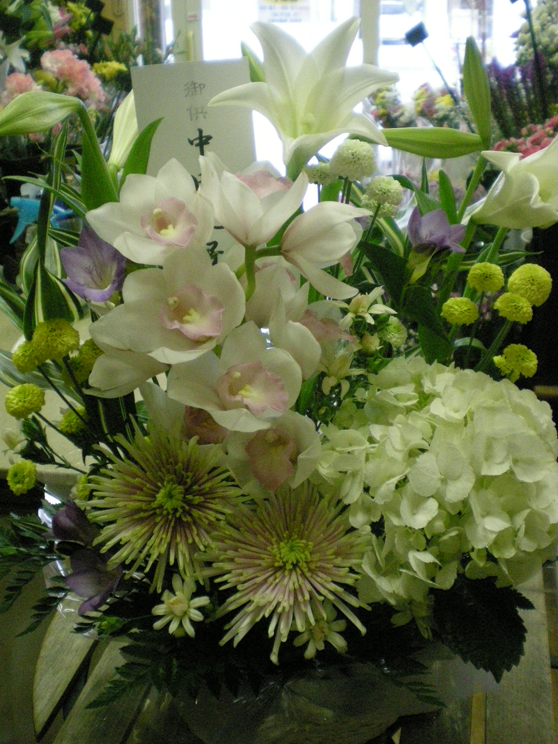 アップロードファイル 476-1.jpg