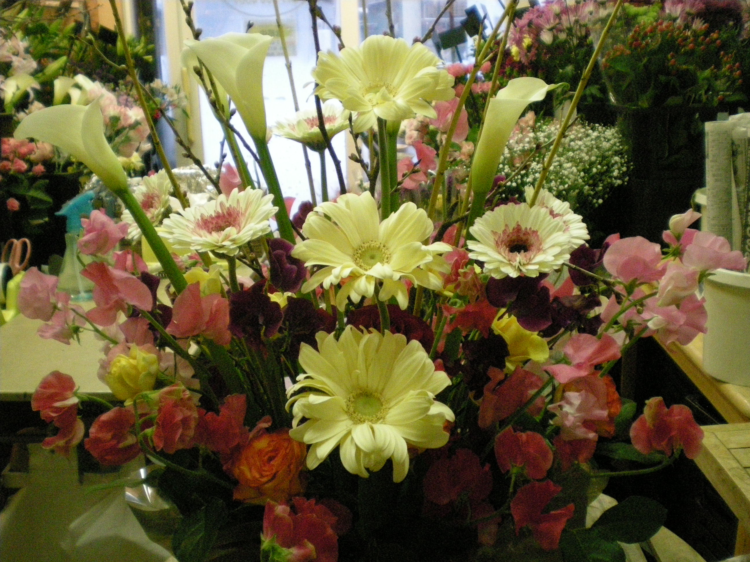 アップロードファイル 477-1.jpg