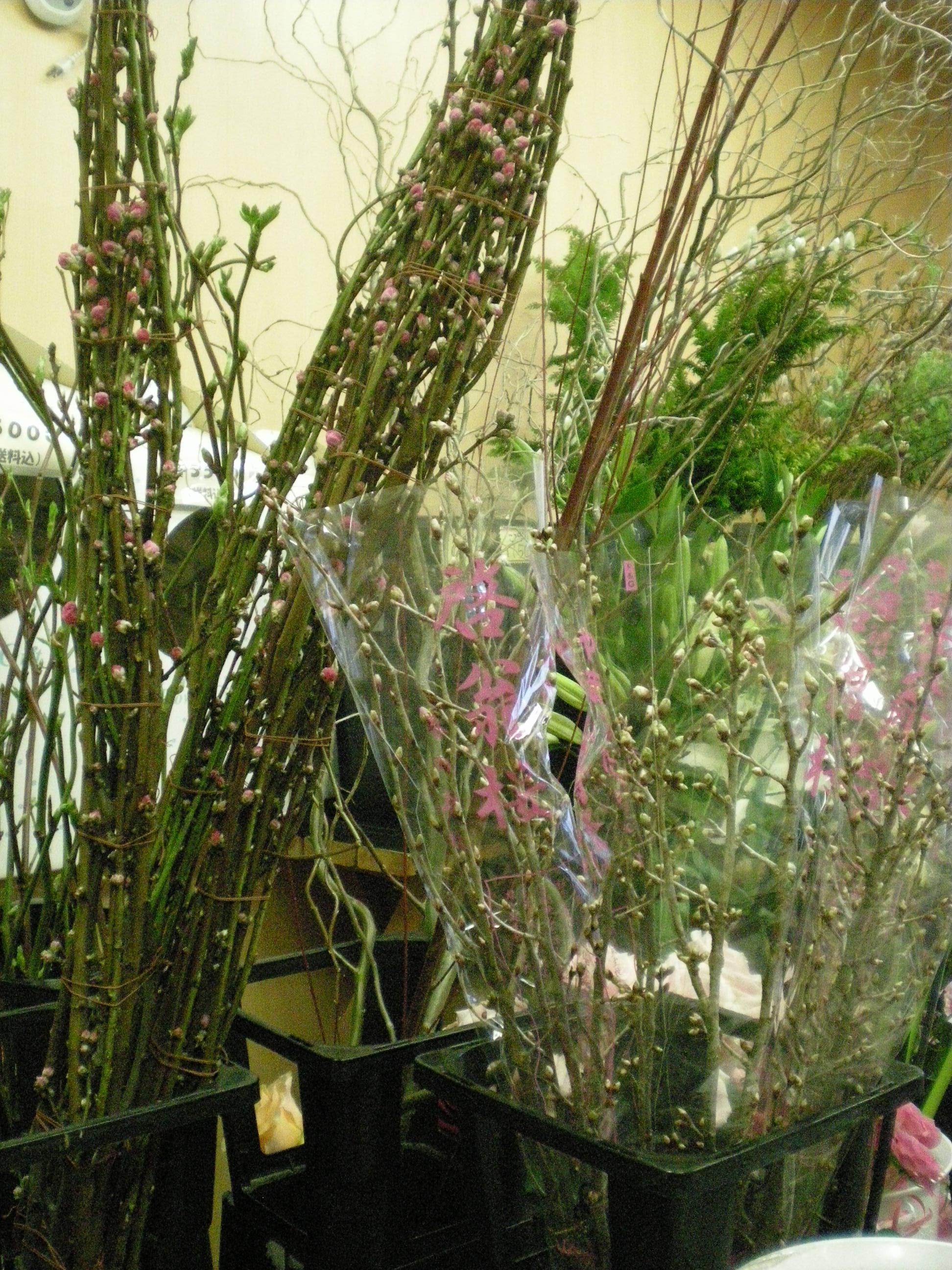 アップロードファイル 479-2.jpg