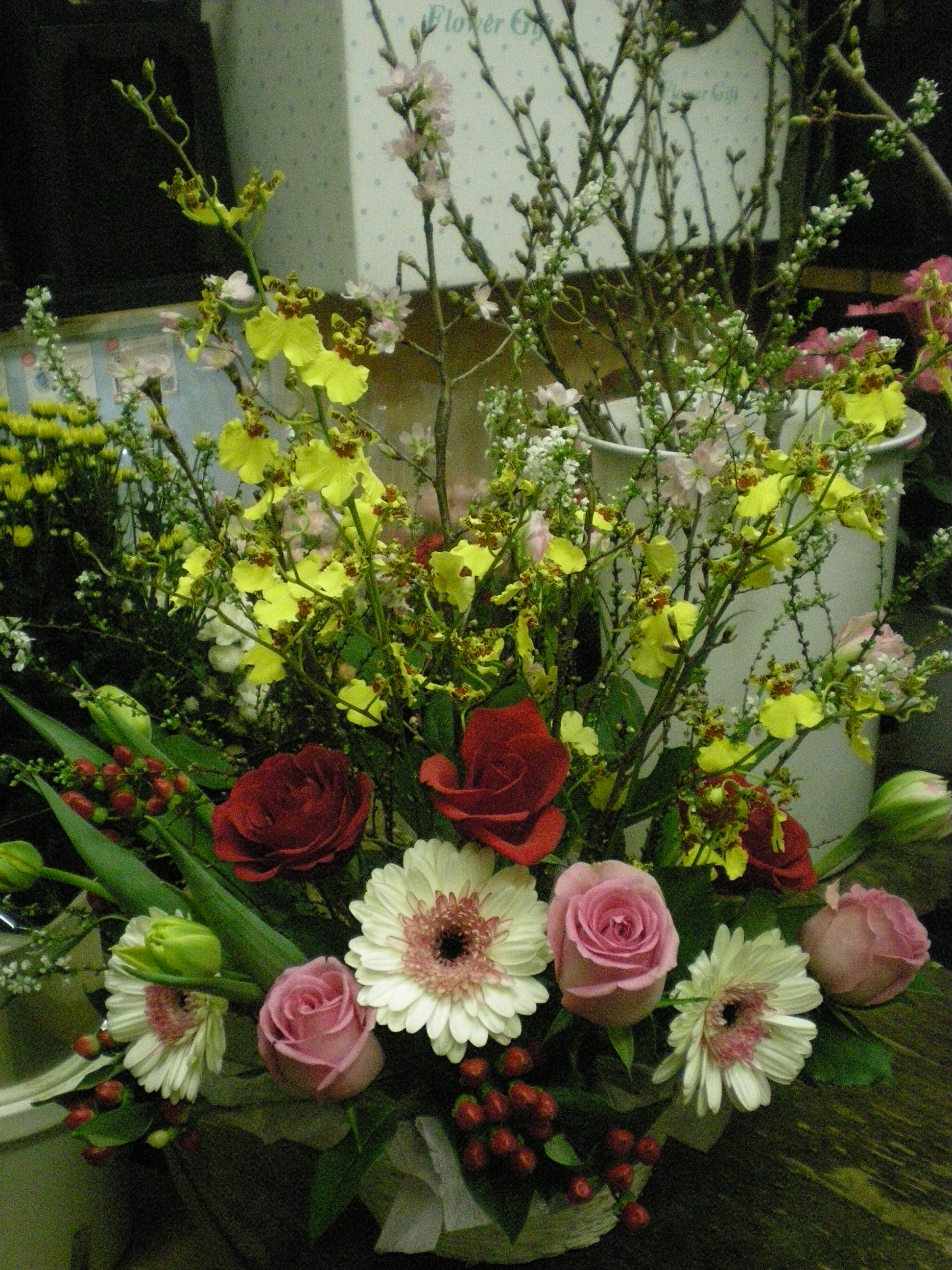 アップロードファイル 482-1.jpg