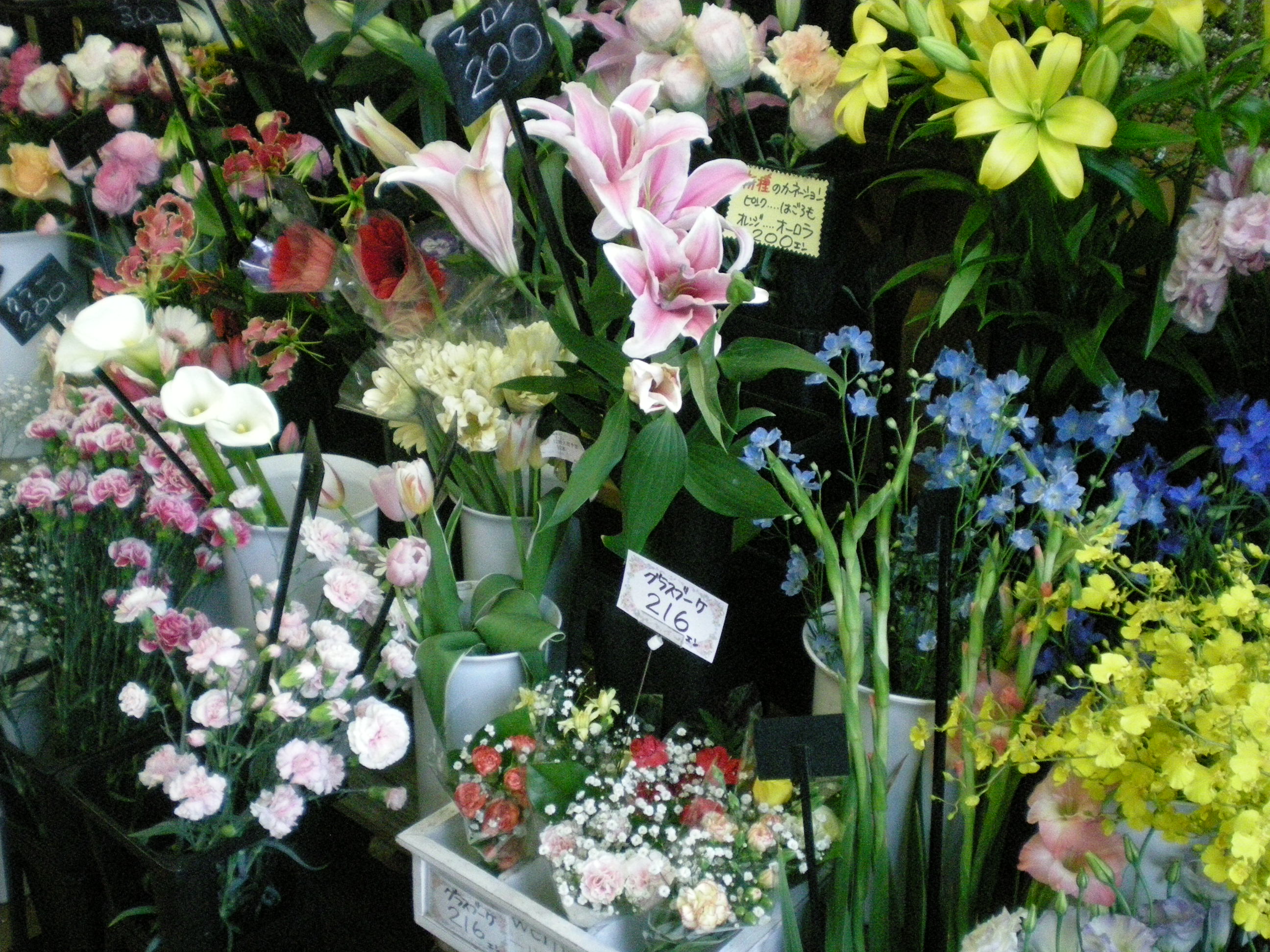 アップロードファイル 484-2.jpg