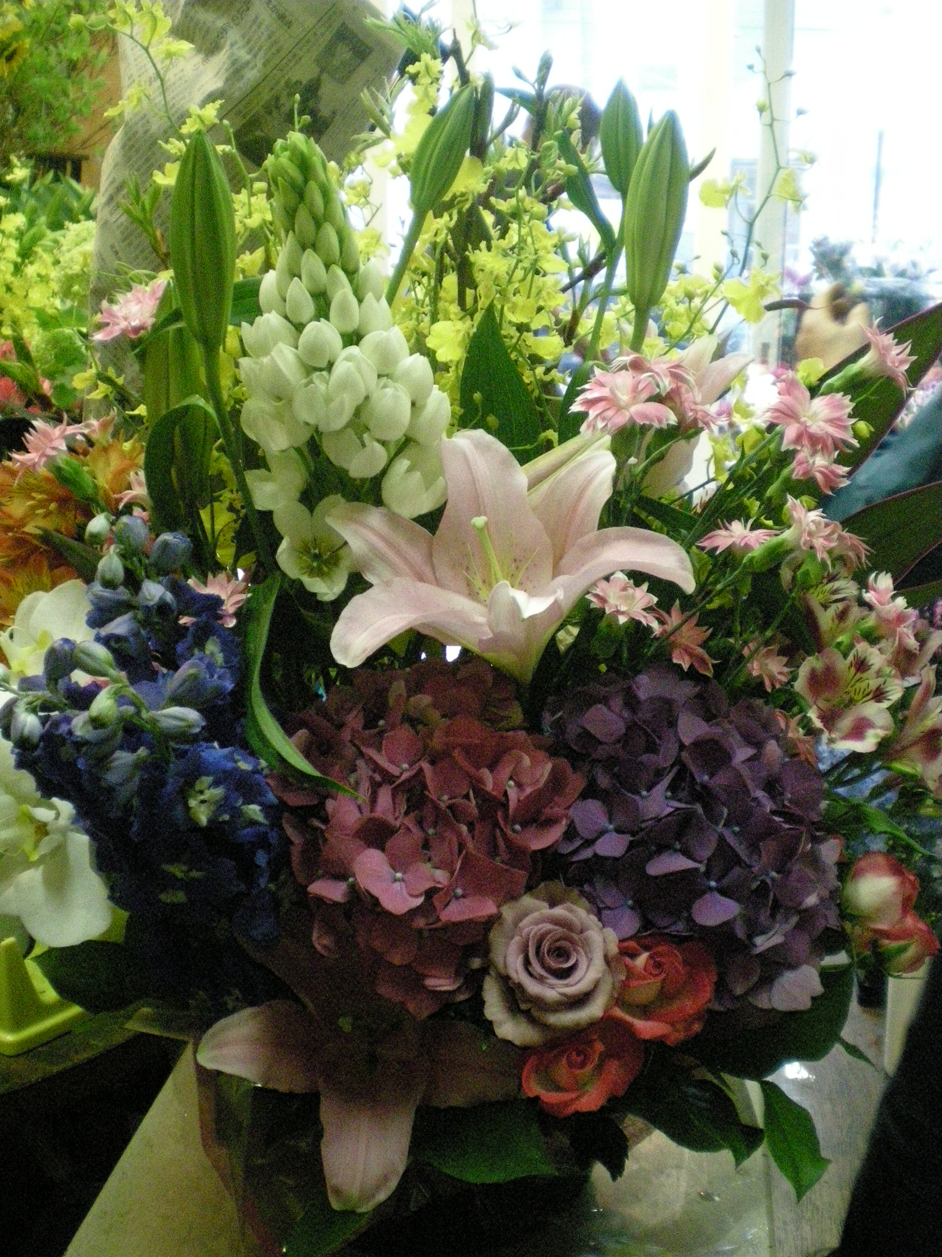 アップロードファイル 488-1.jpg