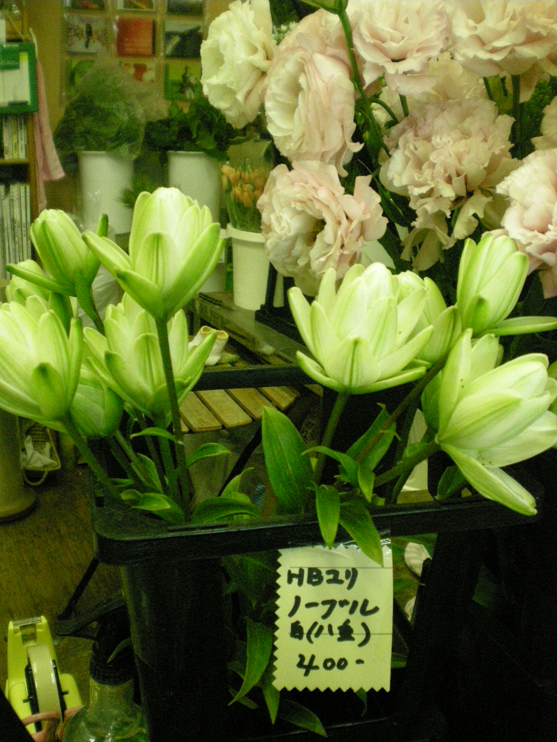 アップロードファイル 489-1.jpg