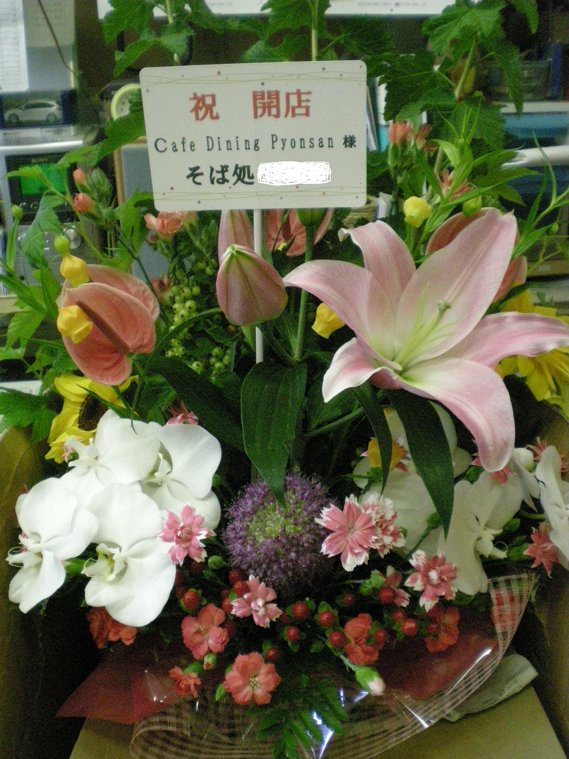 アップロードファイル 491-1.jpg