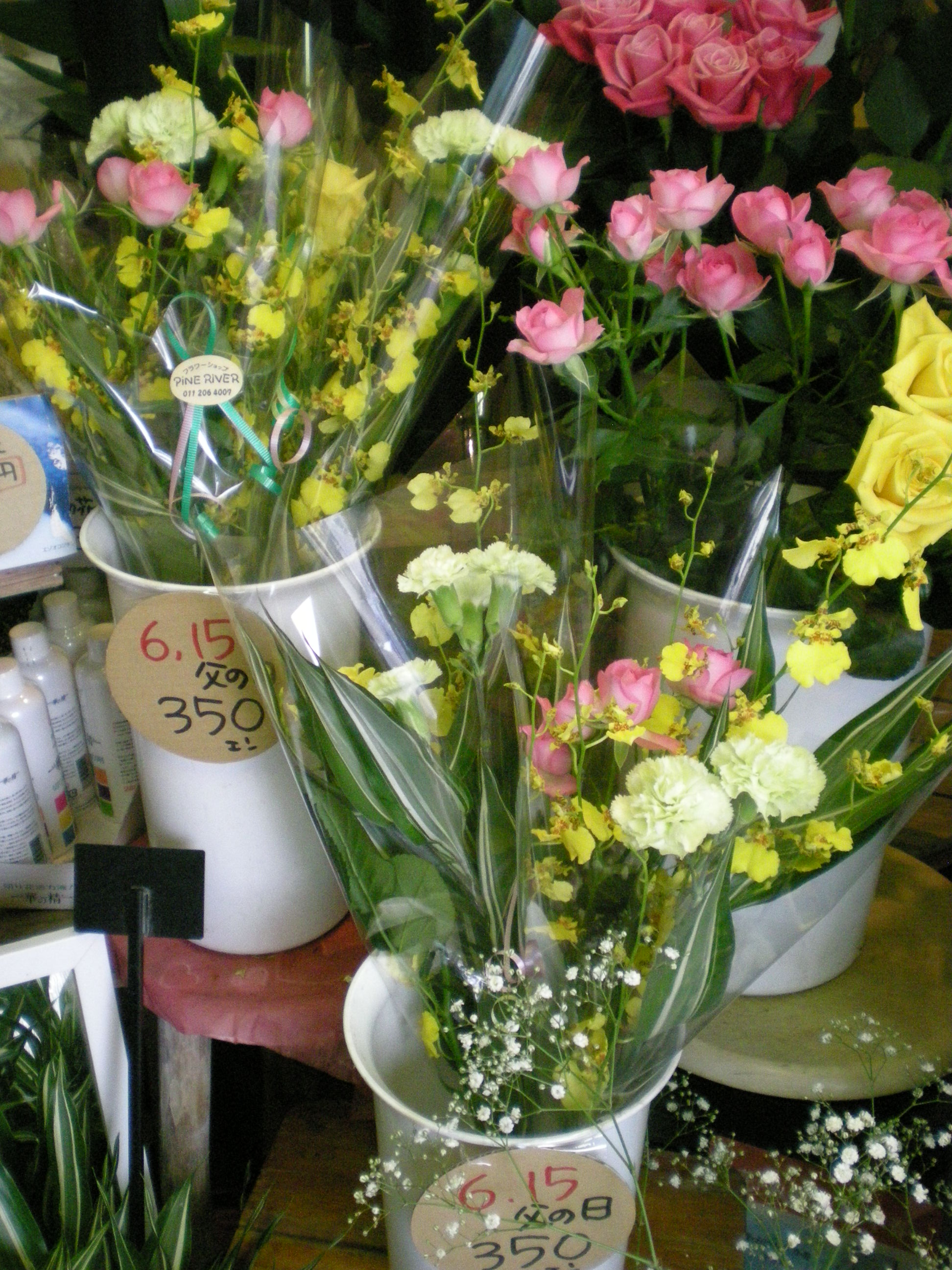 アップロードファイル 492-1.jpg