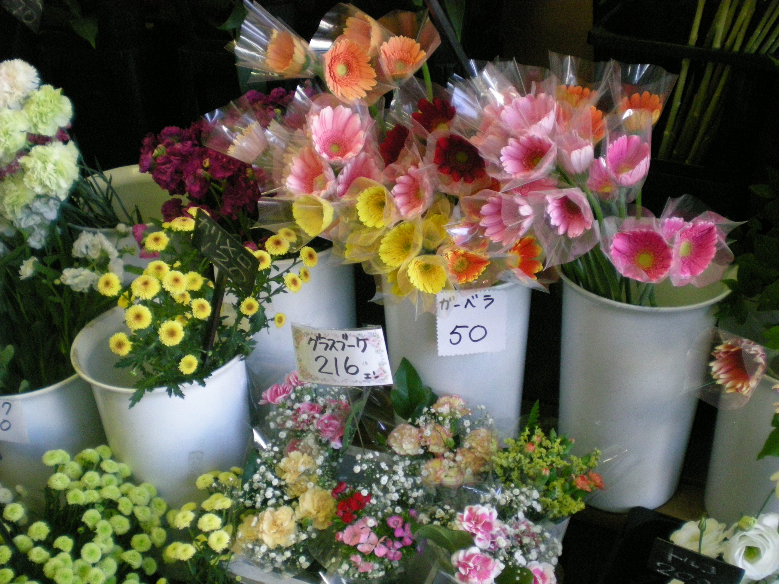 アップロードファイル 493-1.jpg