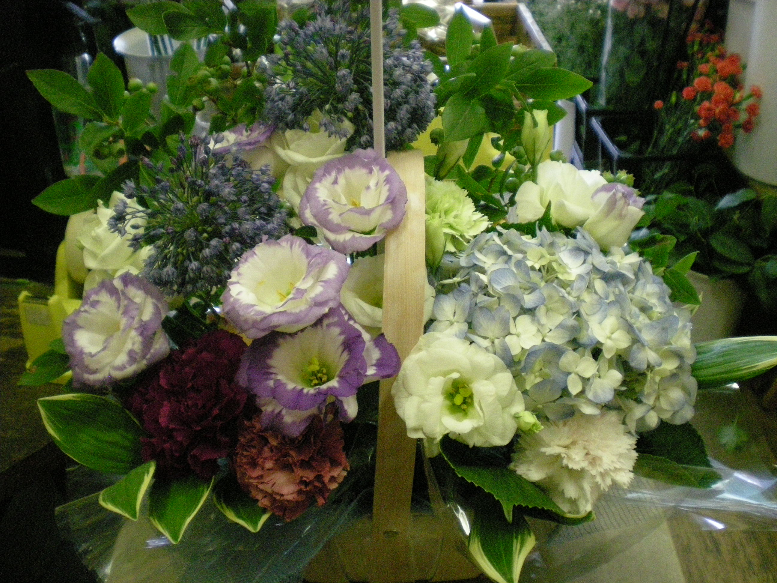 アップロードファイル 494-1.jpg