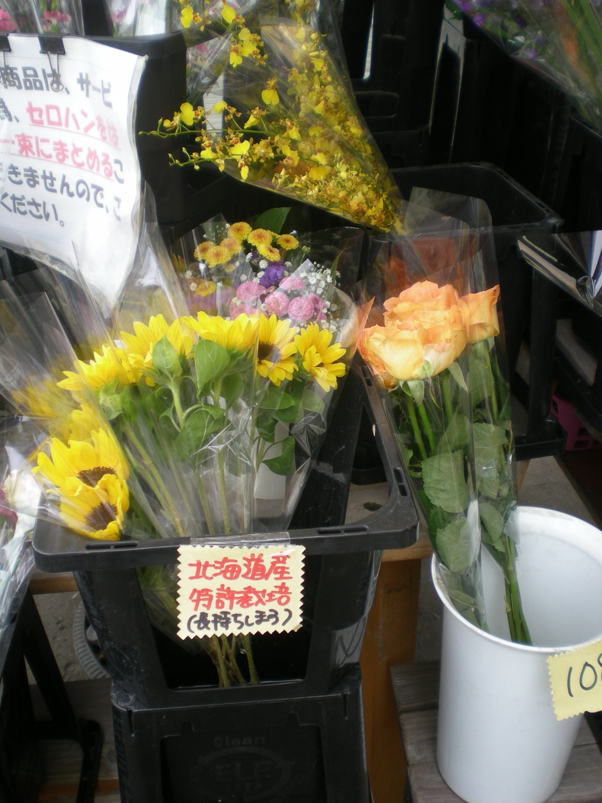 アップロードファイル 496-1.jpg