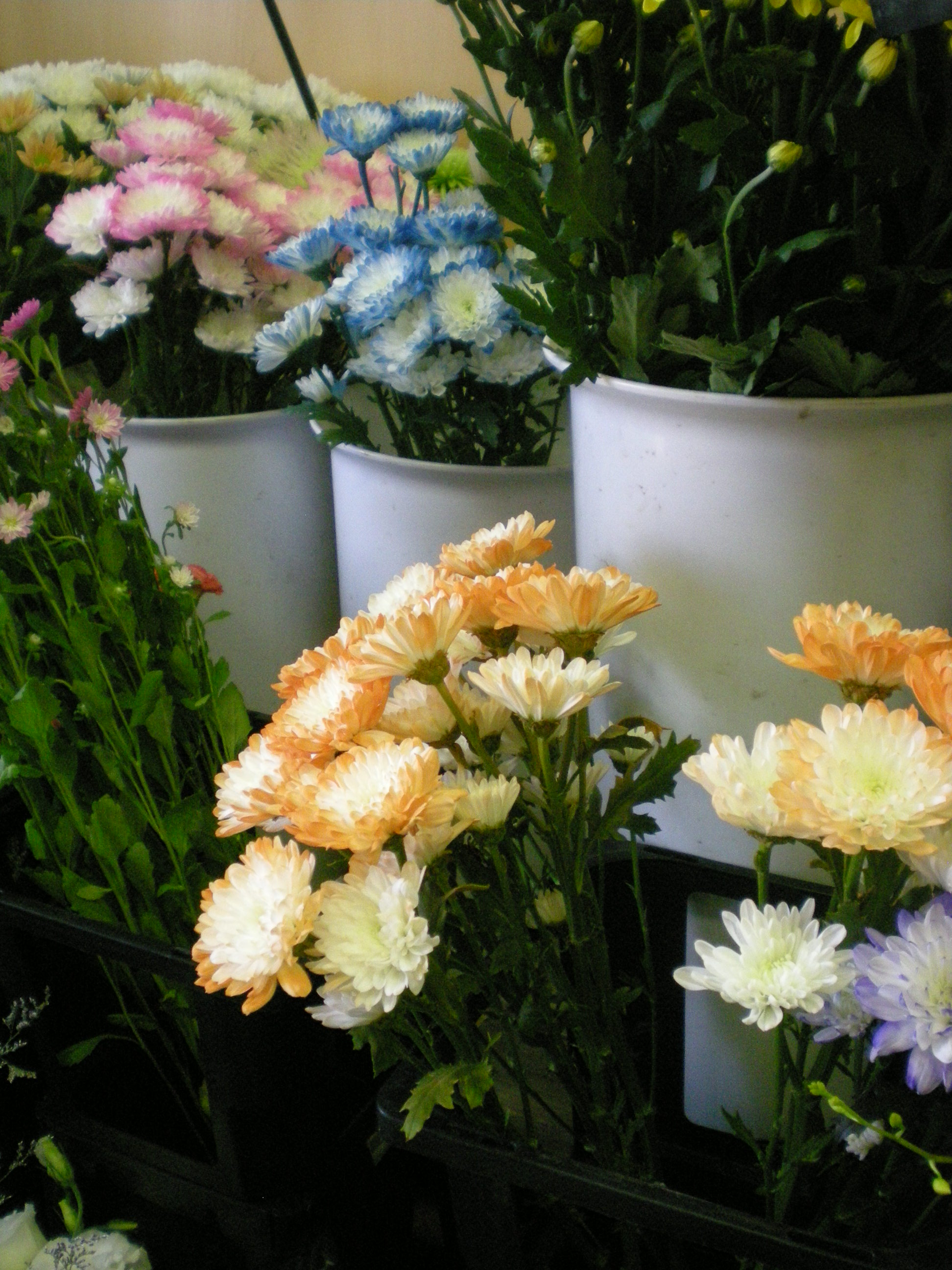 アップロードファイル 503-1.jpg