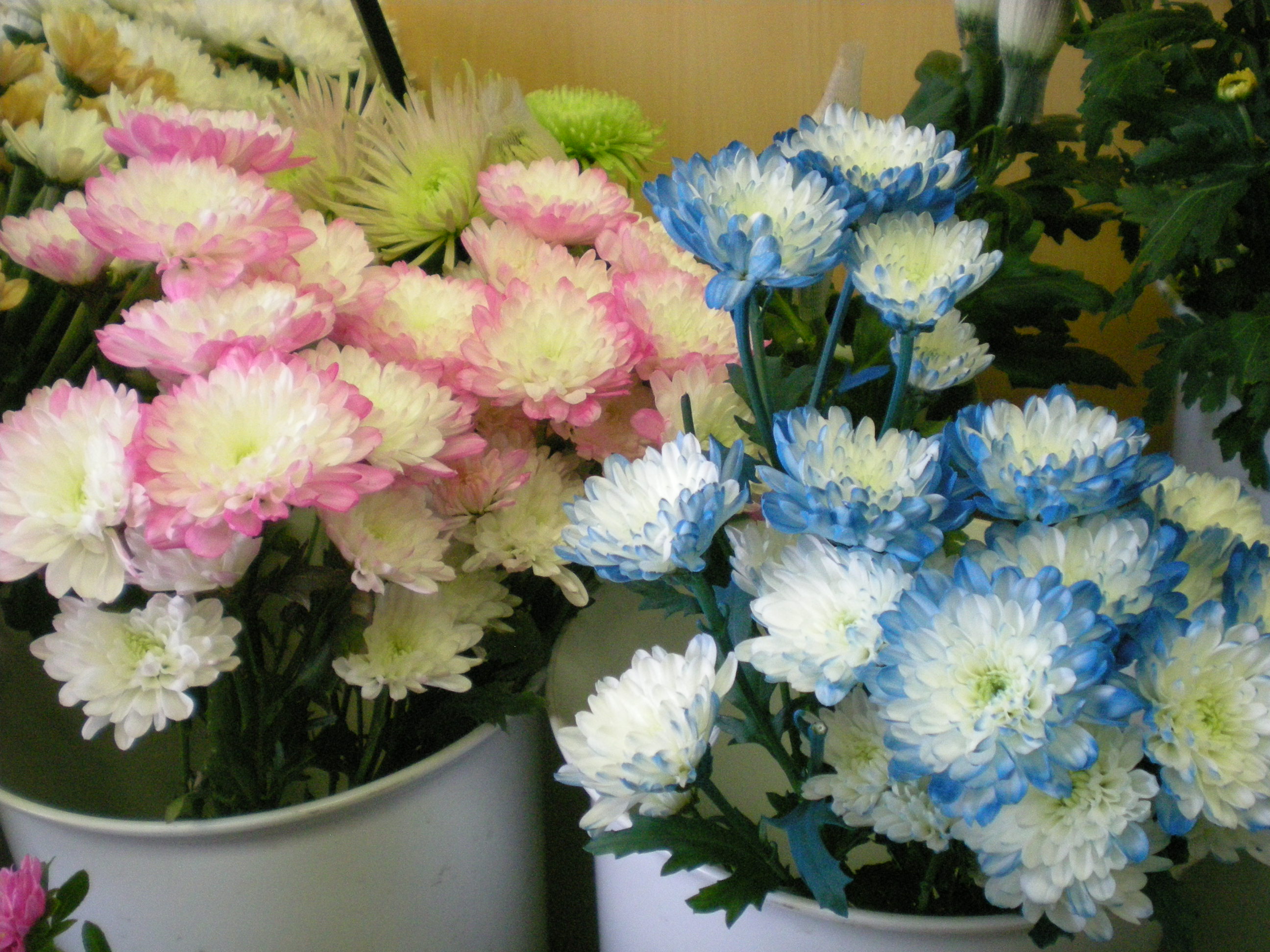 アップロードファイル 503-2.jpg