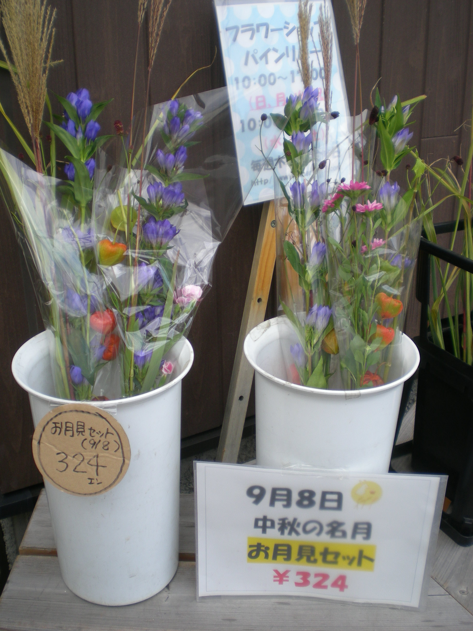 アップロードファイル 504-1.jpg