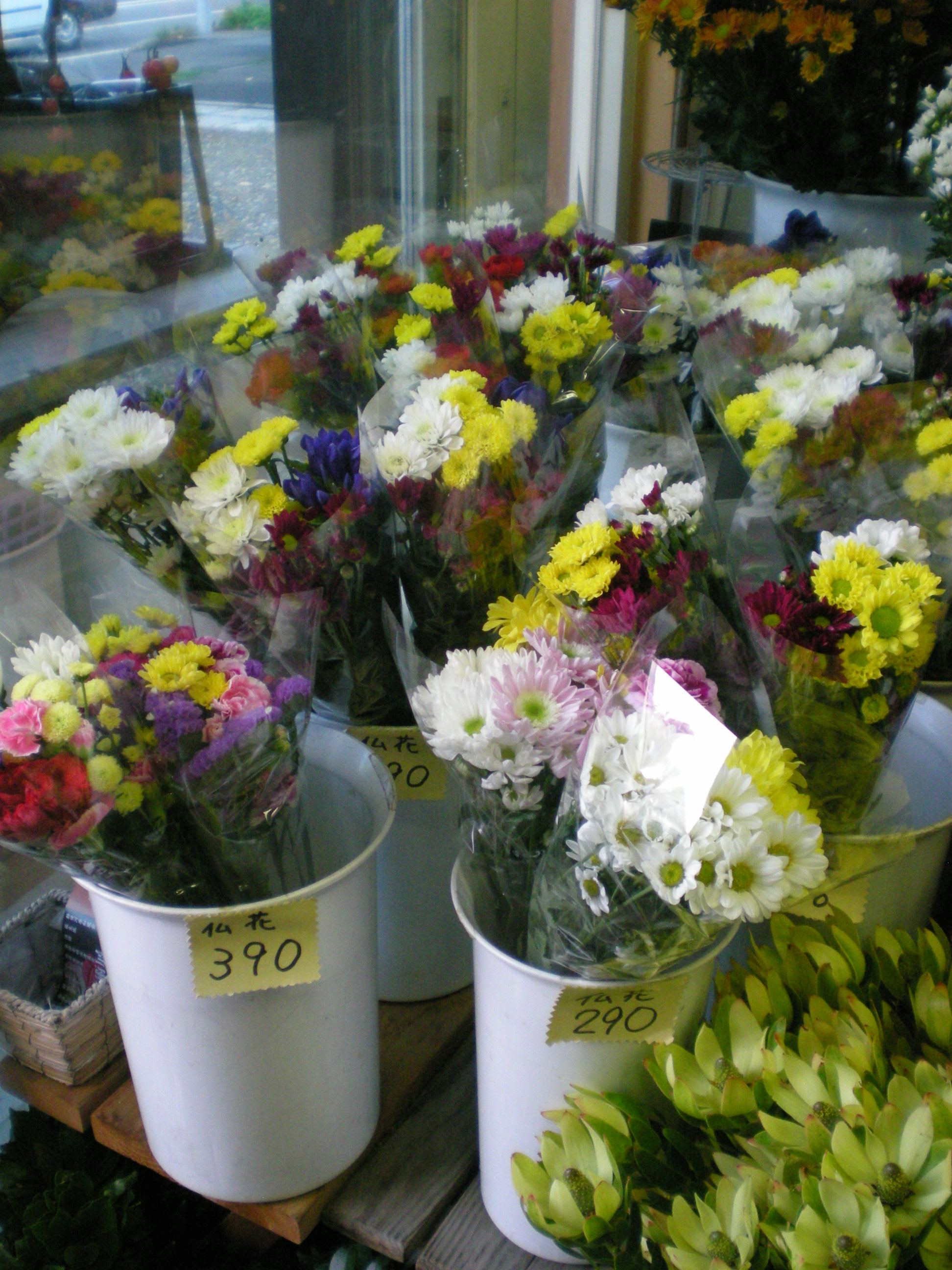 アップロードファイル 505-1.jpg