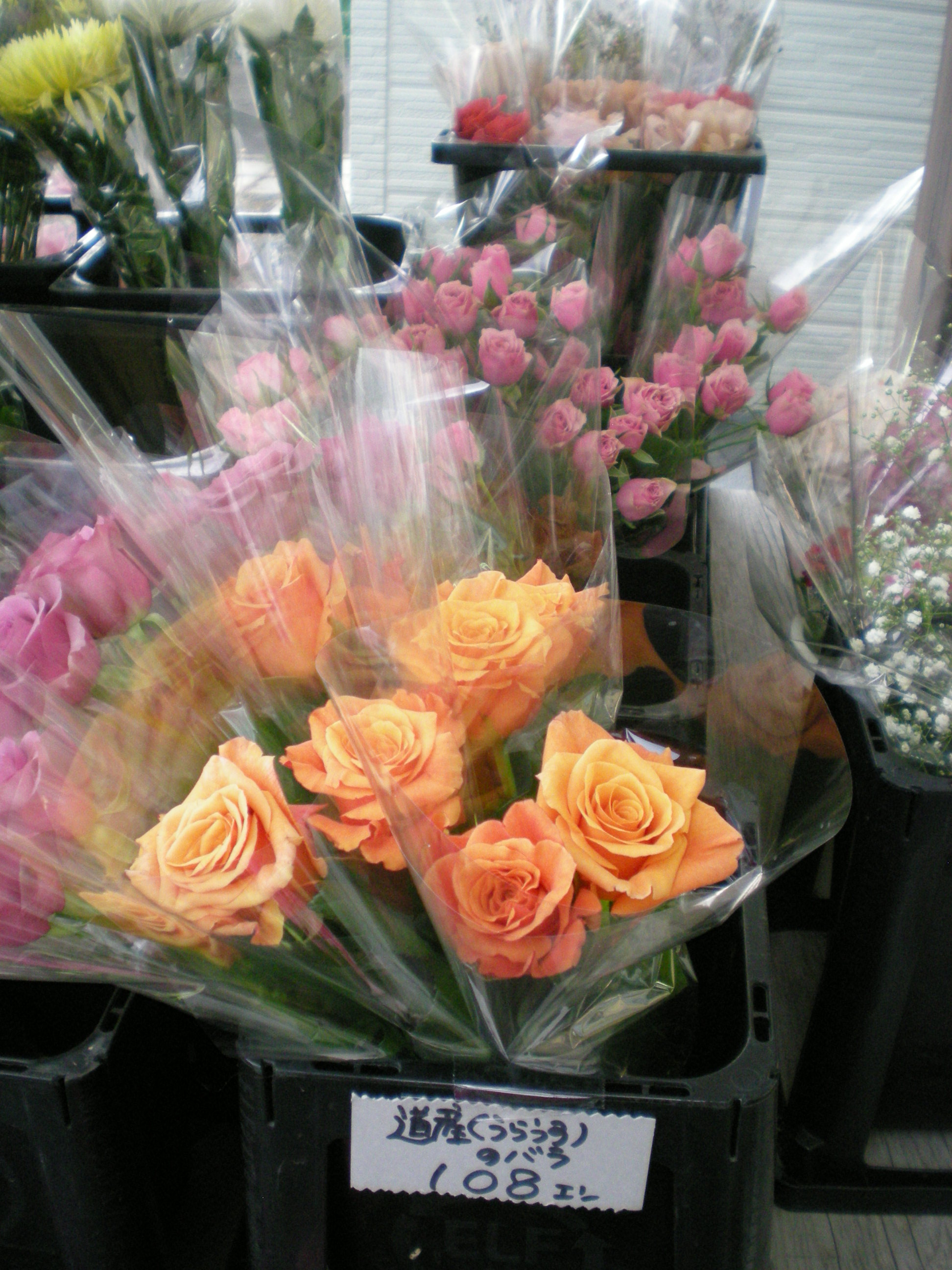 アップロードファイル 506-1.jpg