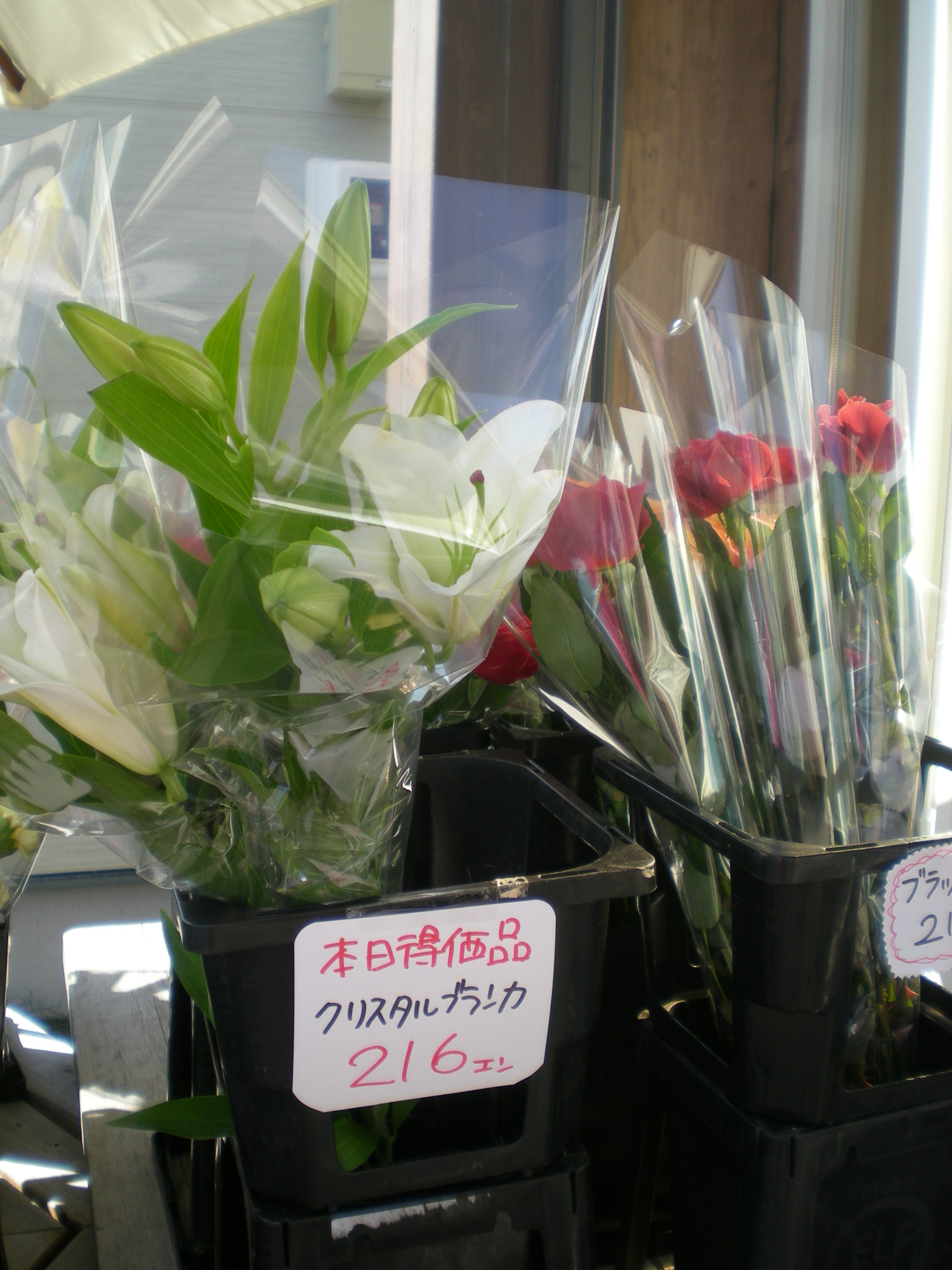 アップロードファイル 508-1.jpg