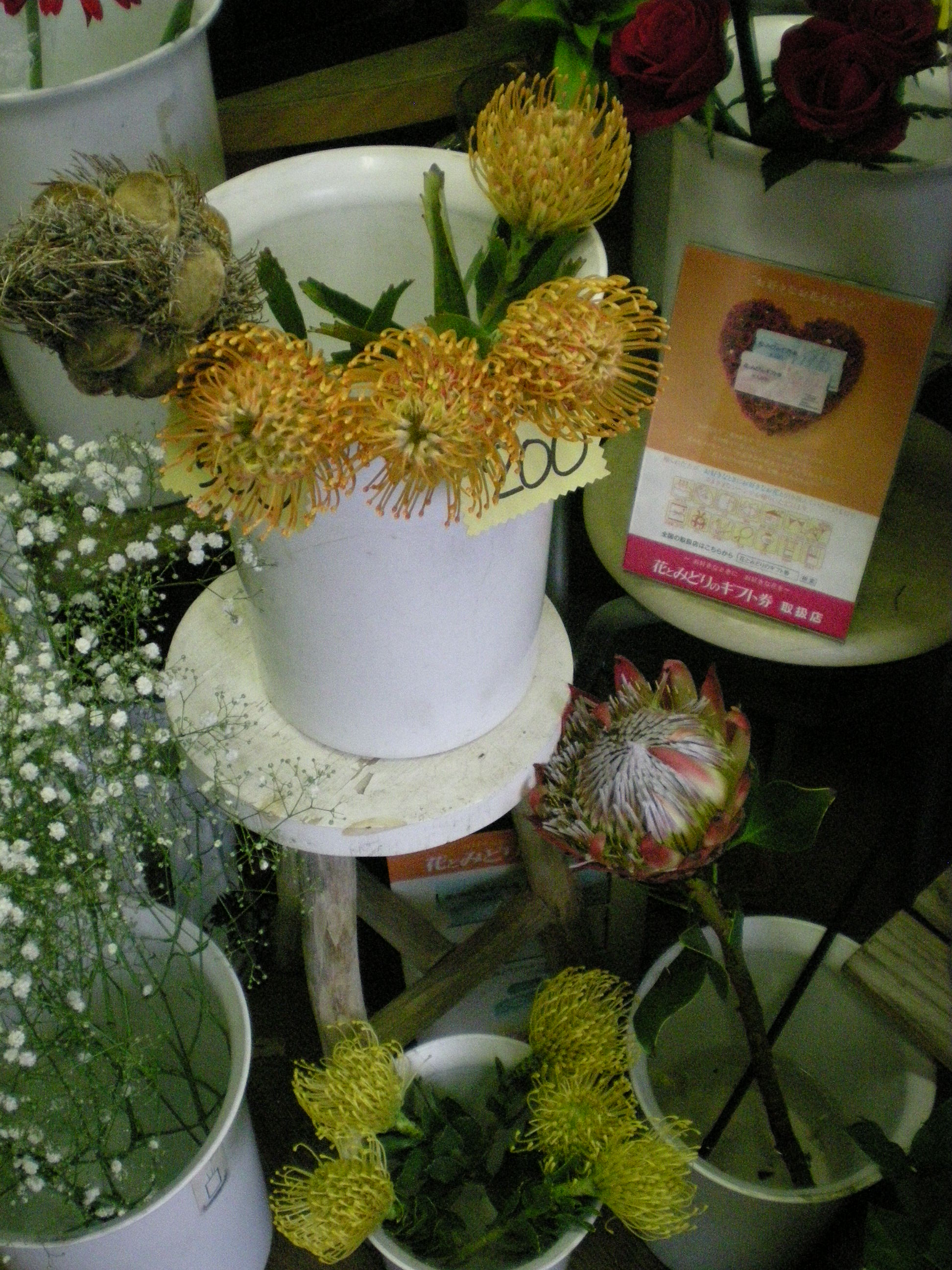 アップロードファイル 509-1.jpg