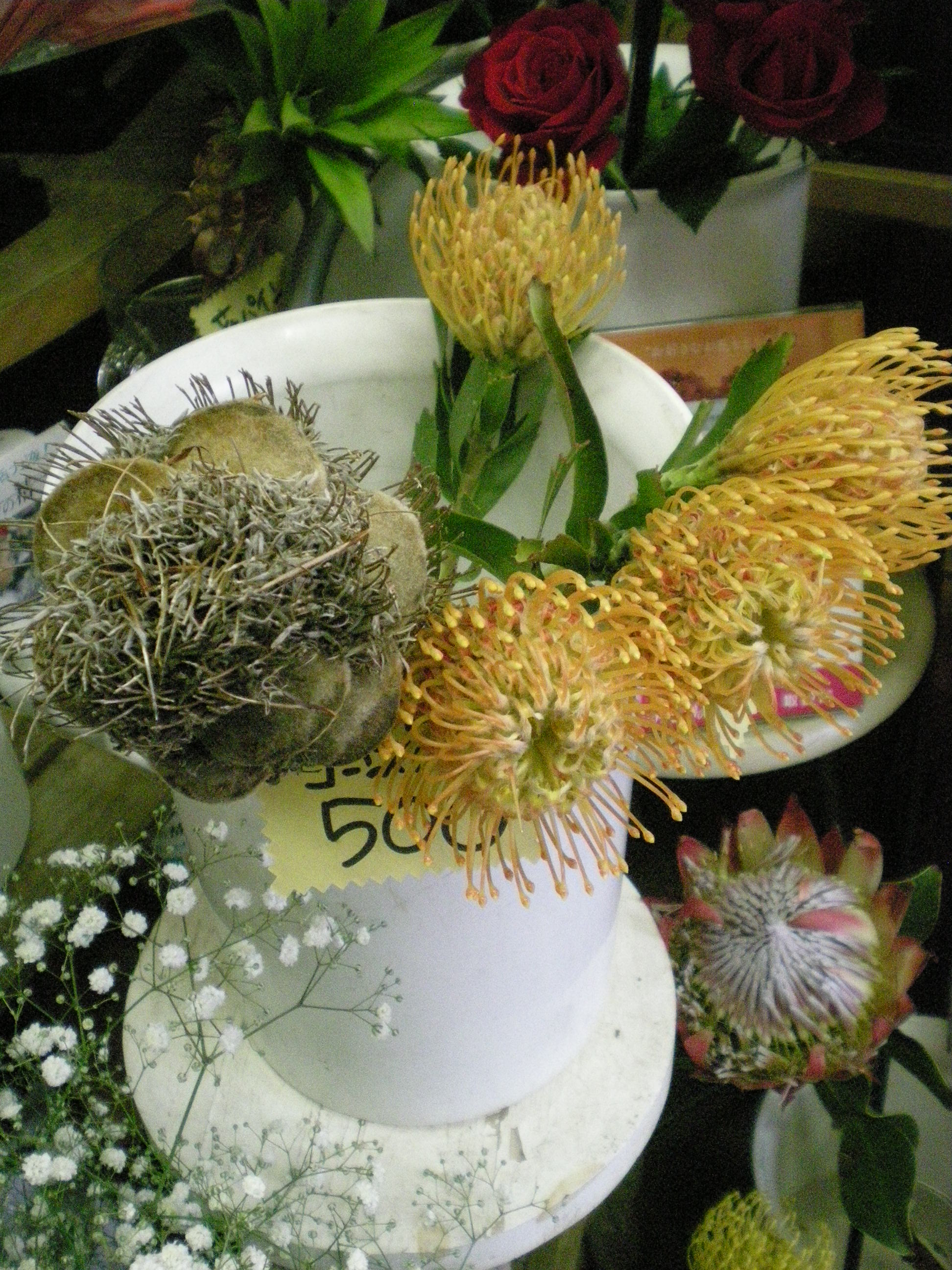 アップロードファイル 509-2.jpg