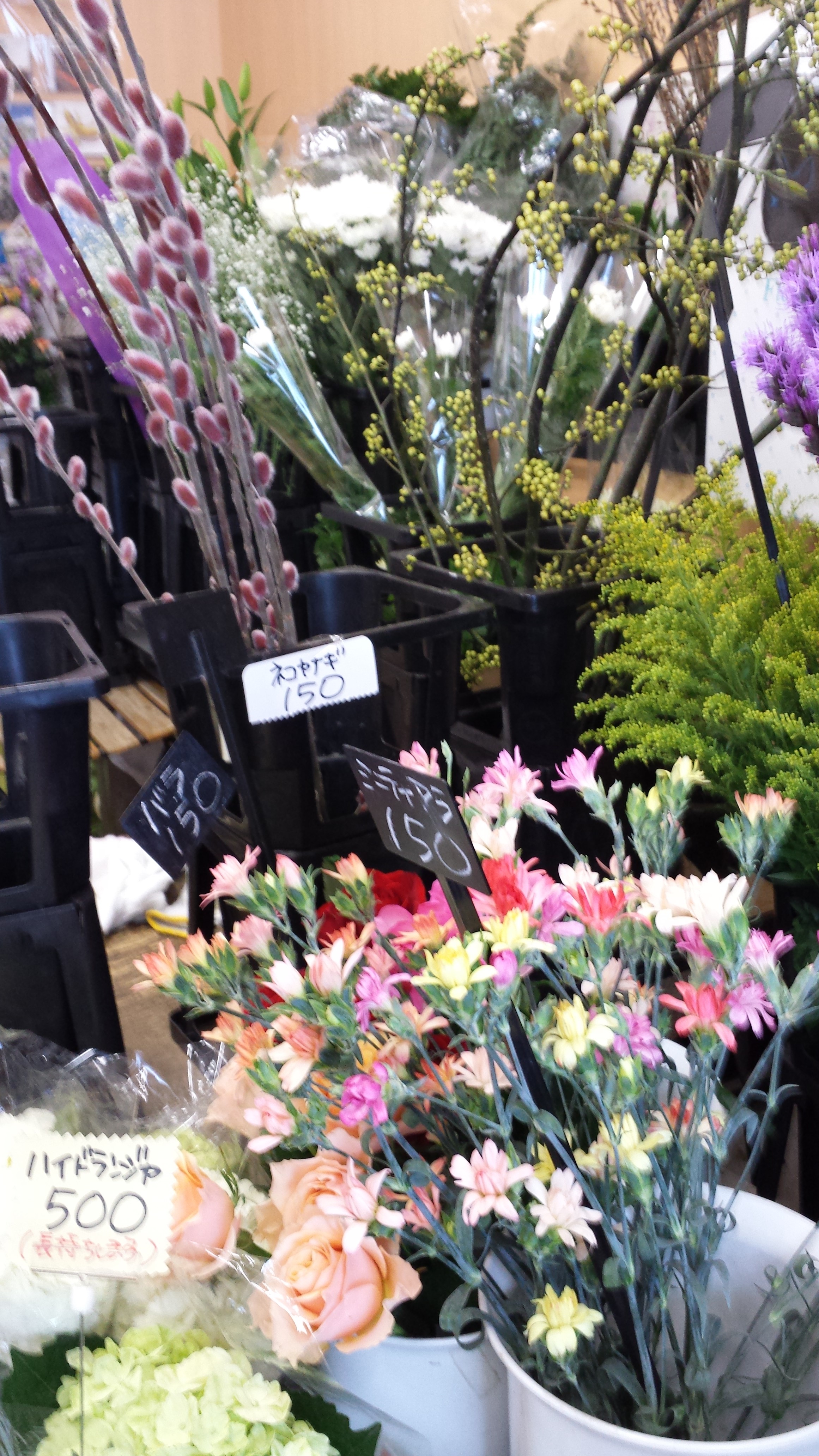 アップロードファイル 521-1.jpg