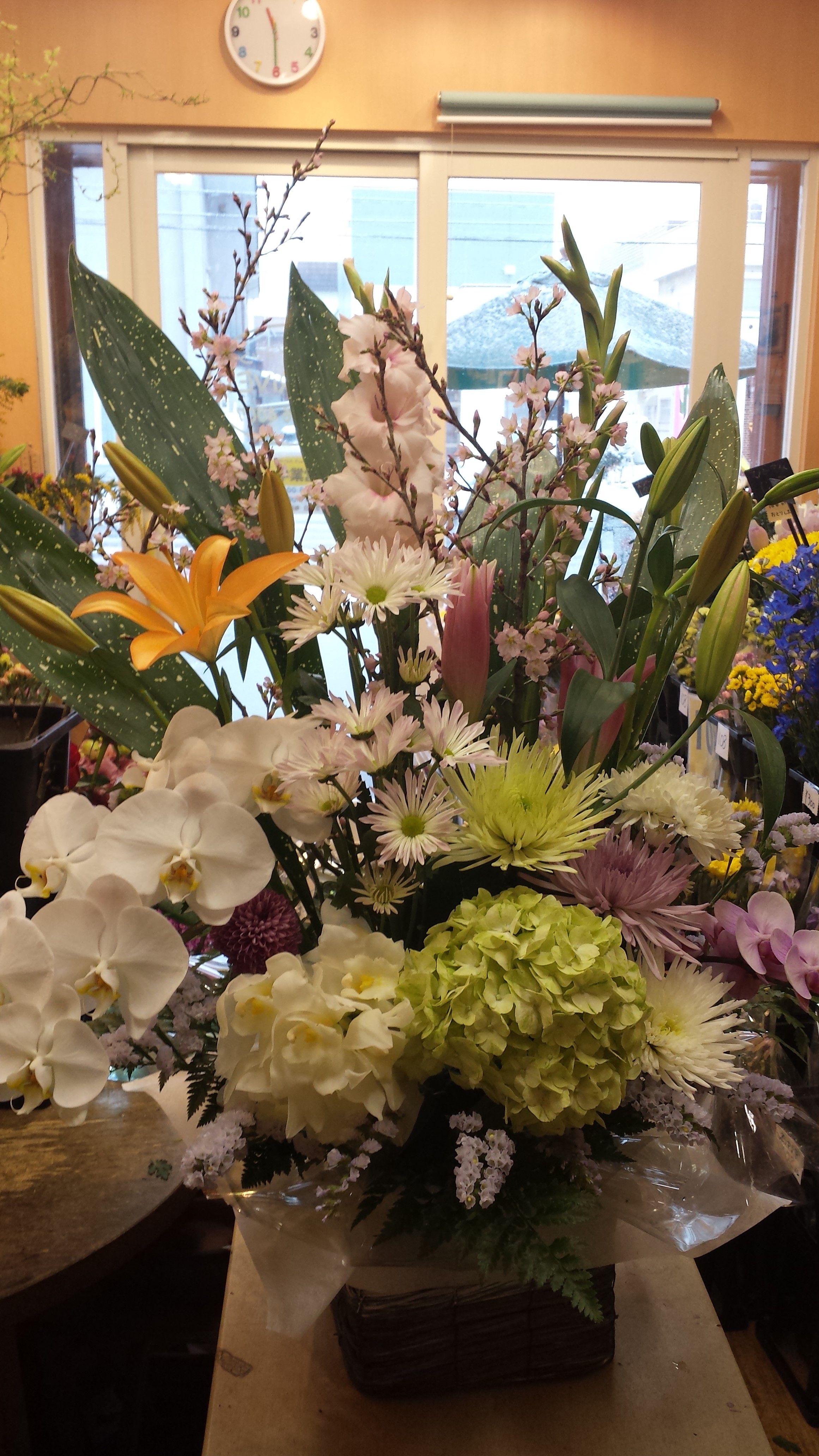 アップロードファイル 528-1.jpg