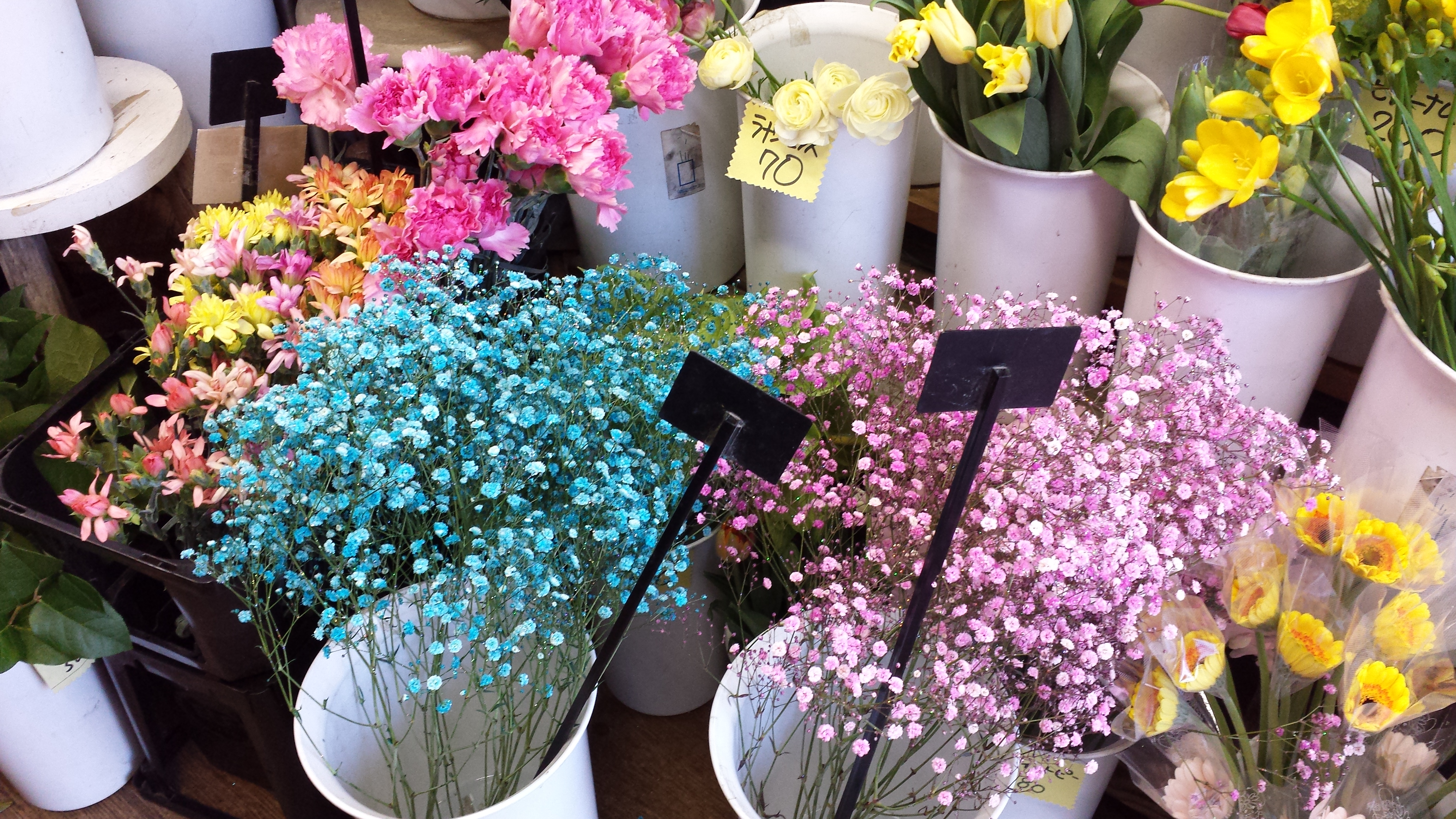 アップロードファイル 531-1.jpg