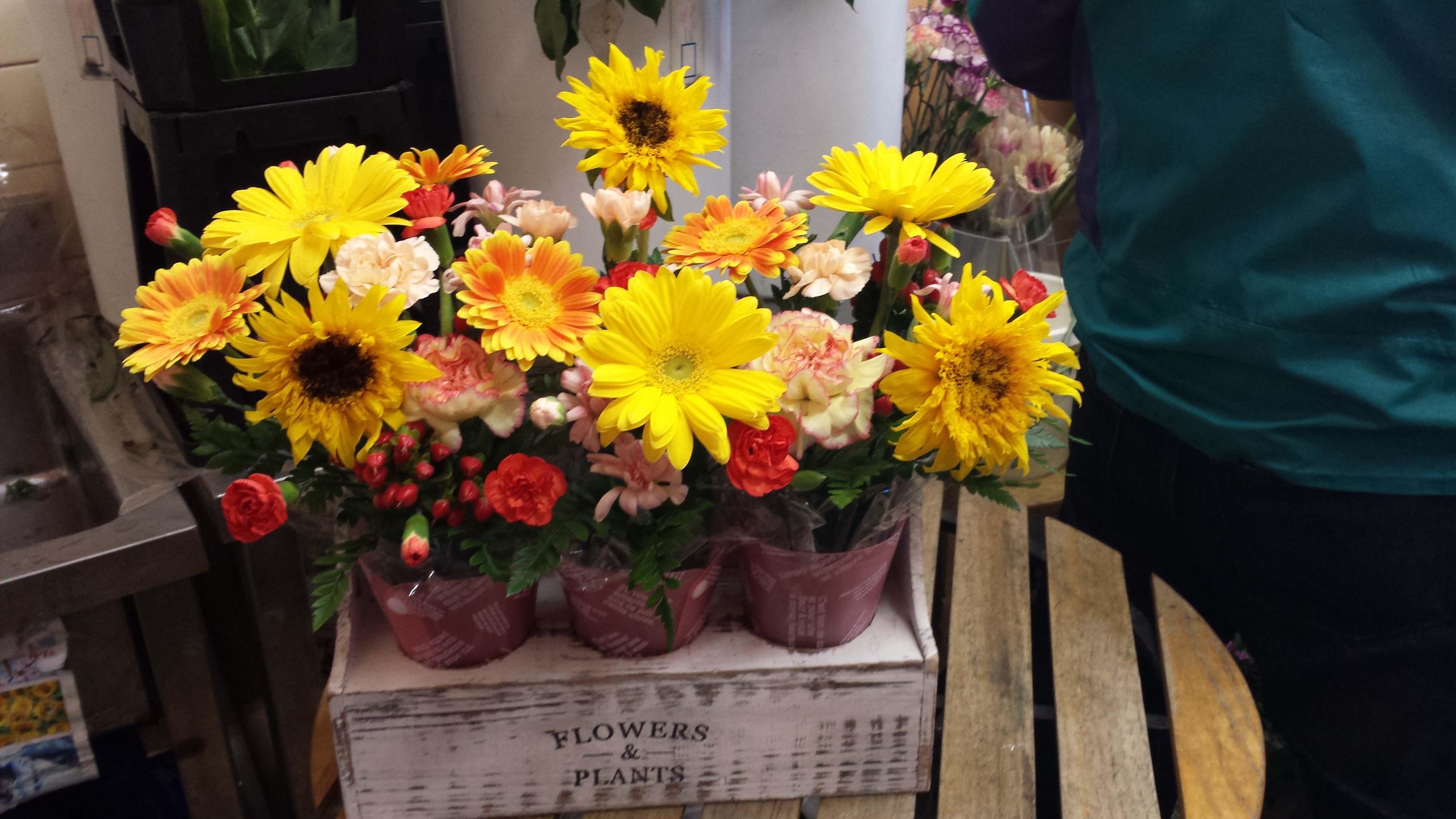 アップロードファイル 532-1.jpg