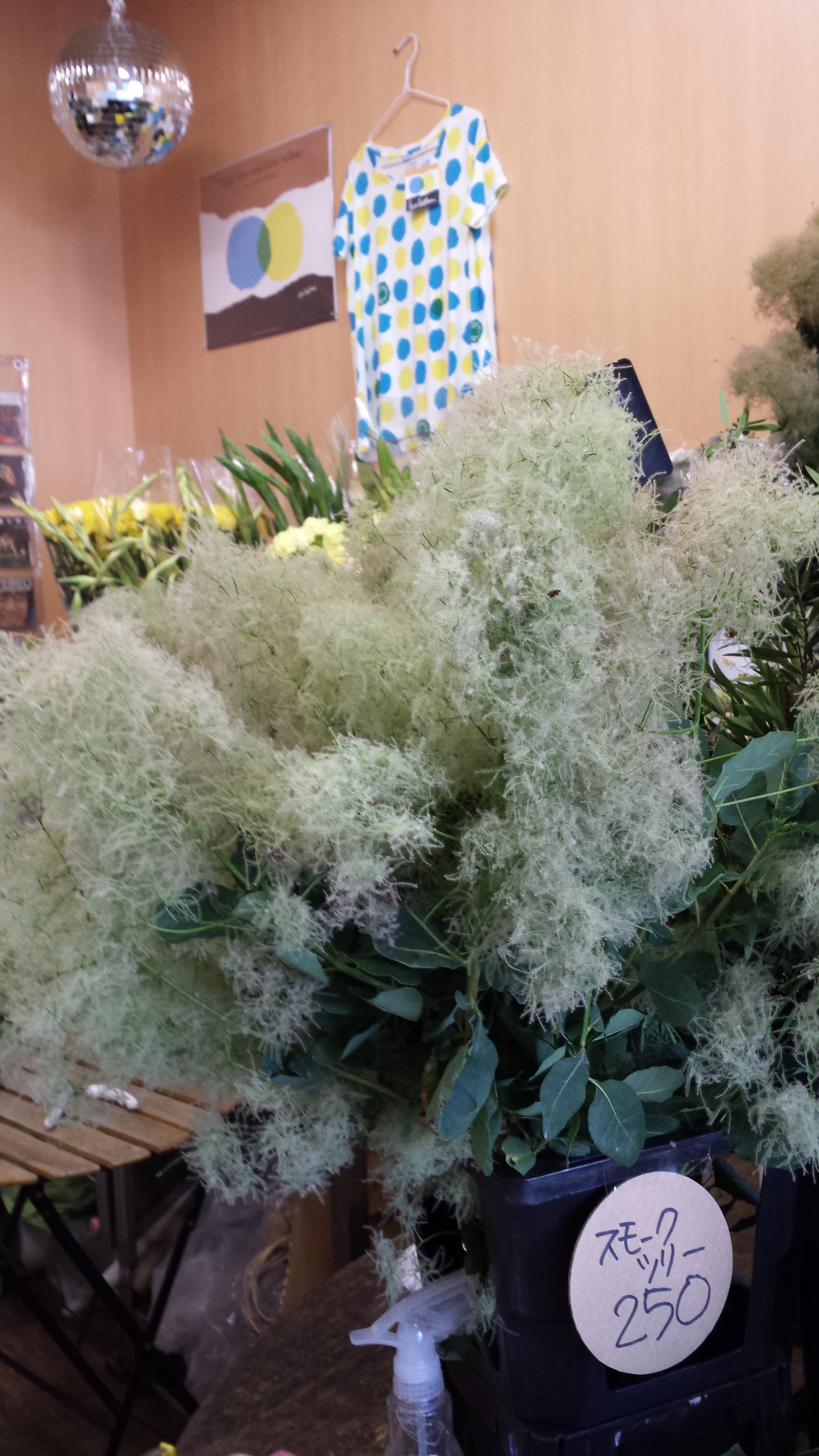 アップロードファイル 534-1.jpg