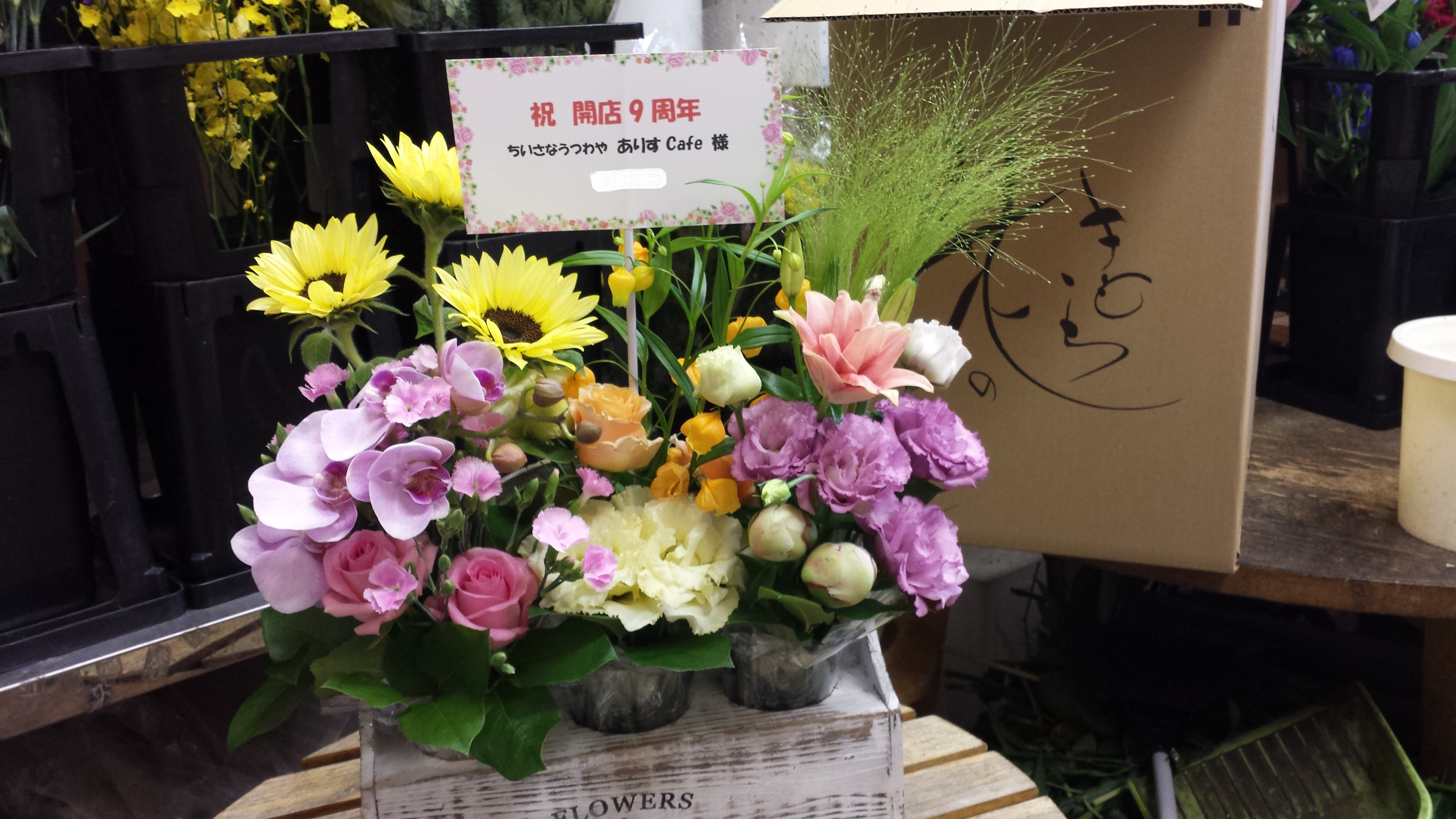 アップロードファイル 537-1.jpg