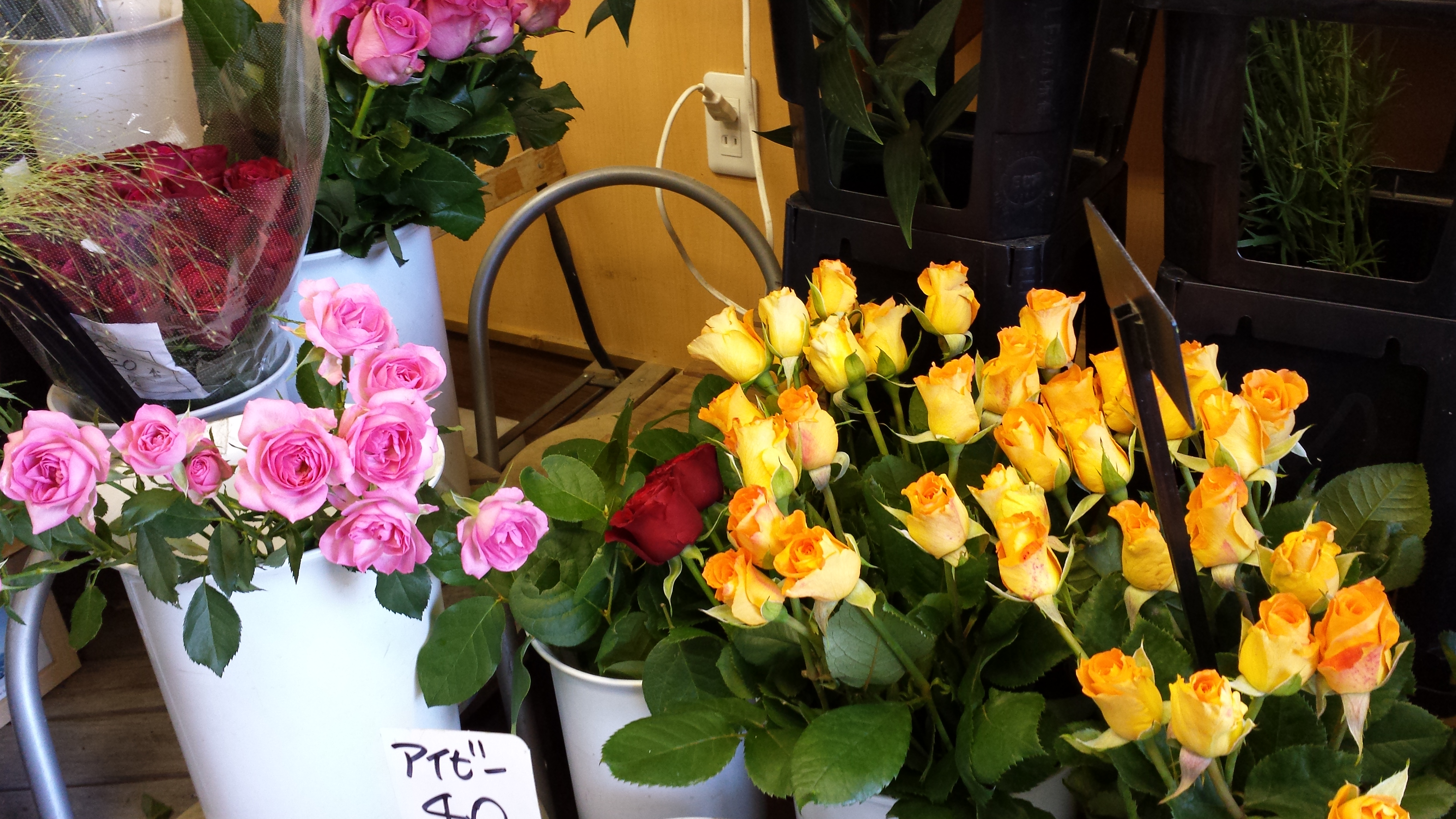 アップロードファイル 538-1.jpg